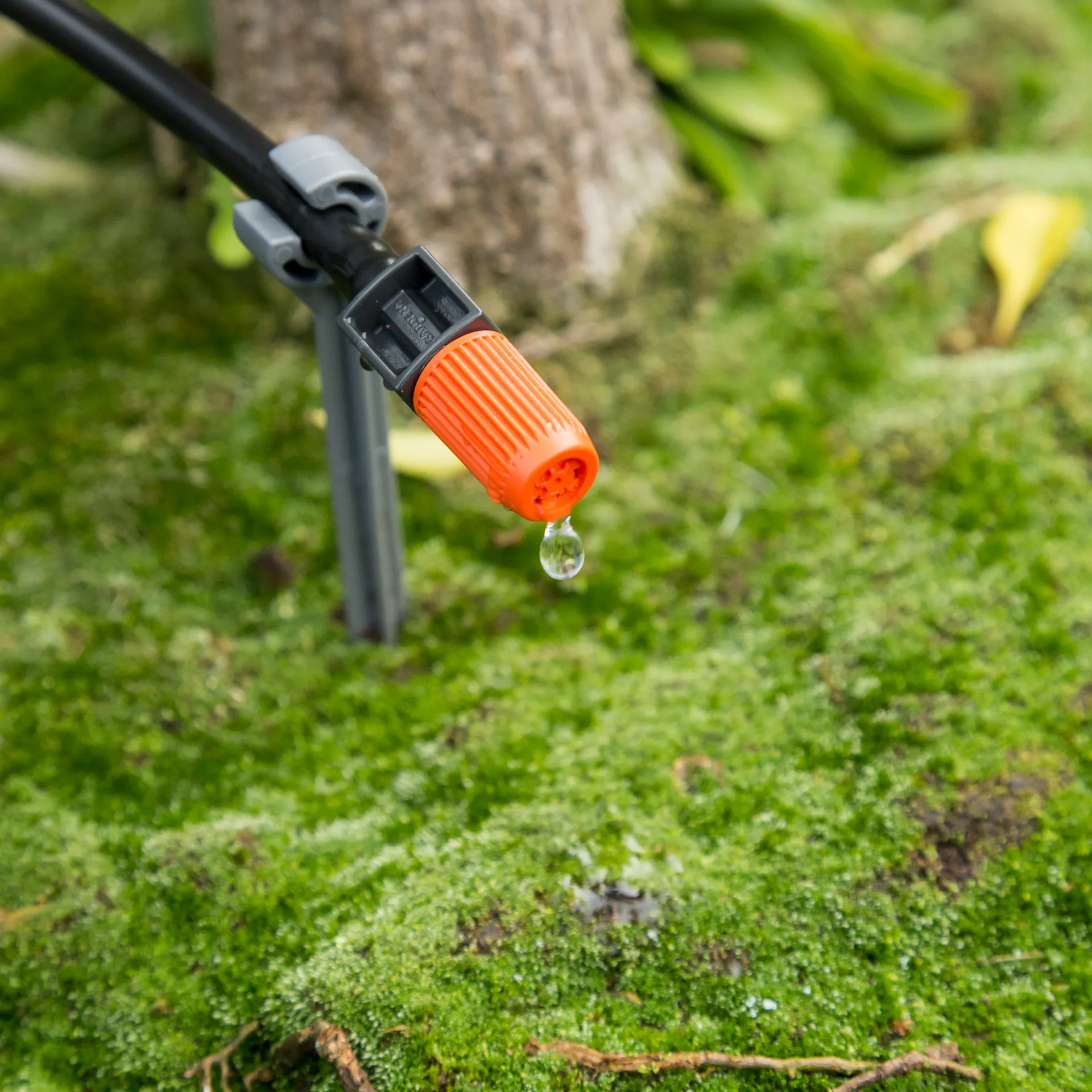Il gocciolatore di un sistema di irrigazione a goccia rilascia acqua.