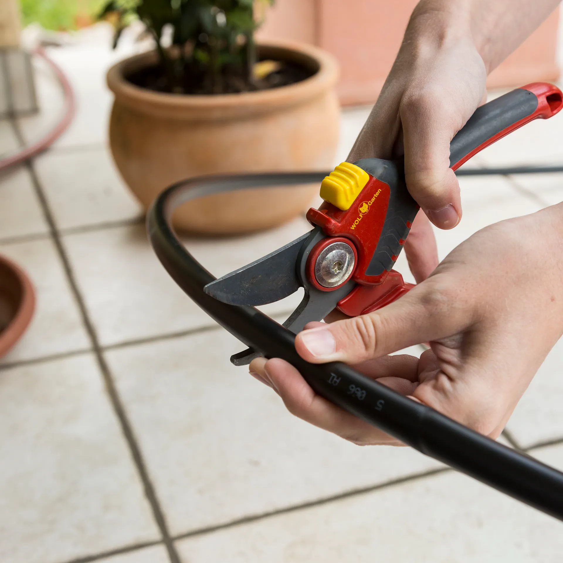 Una persona taglia il tubo gocciolatore per l’irrigazione a goccia con le cesoie da giardino.