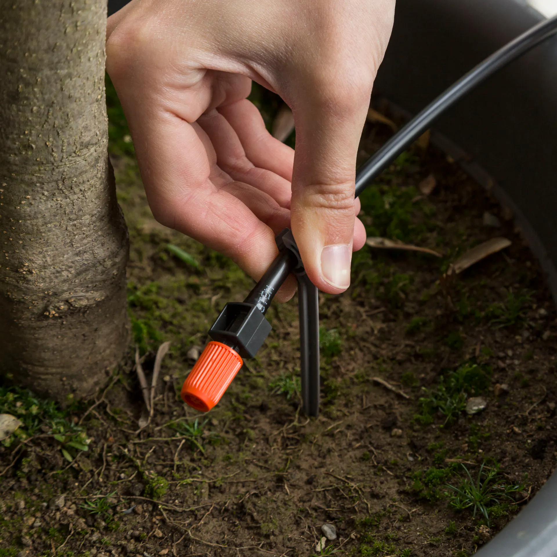 Una persona infila il supporto per tubo dell’irrigazione a goccia nel terreno.