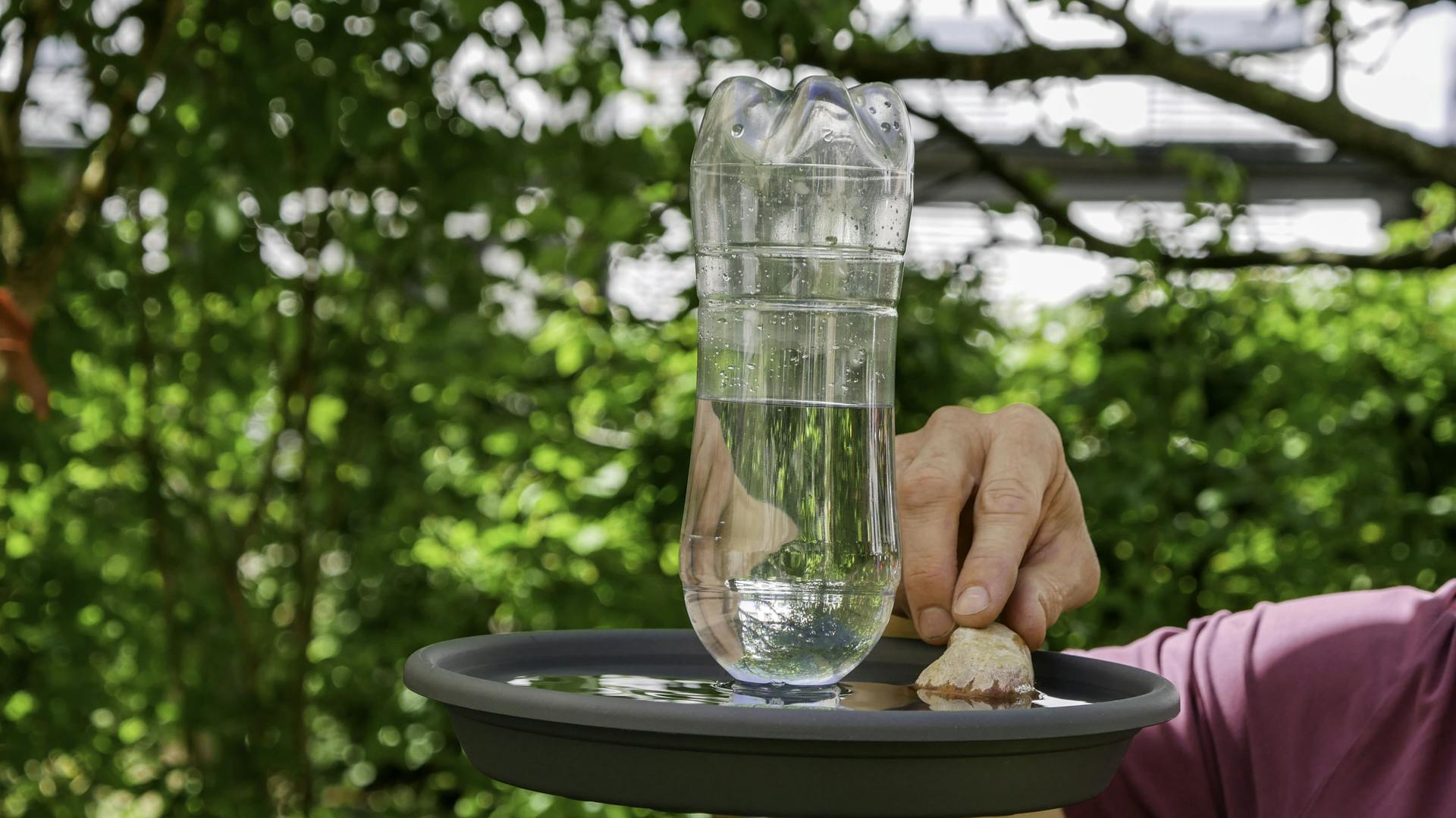 Vogeltränke aus einer Plastikflasche und einem Blumenuntersetzer. Eine Person legt einen Stein ins Wasser, auf dem Tiere landen können.