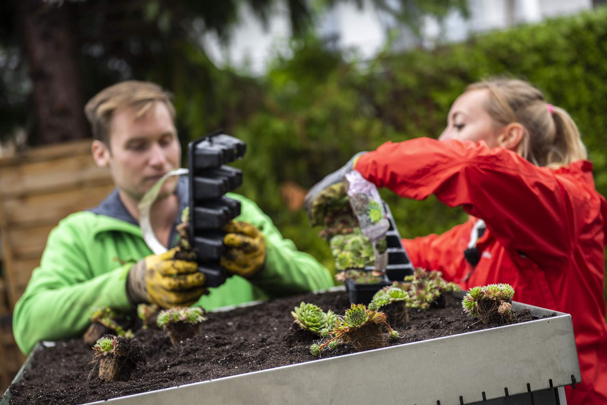 Ein anspruchsvolles OBI