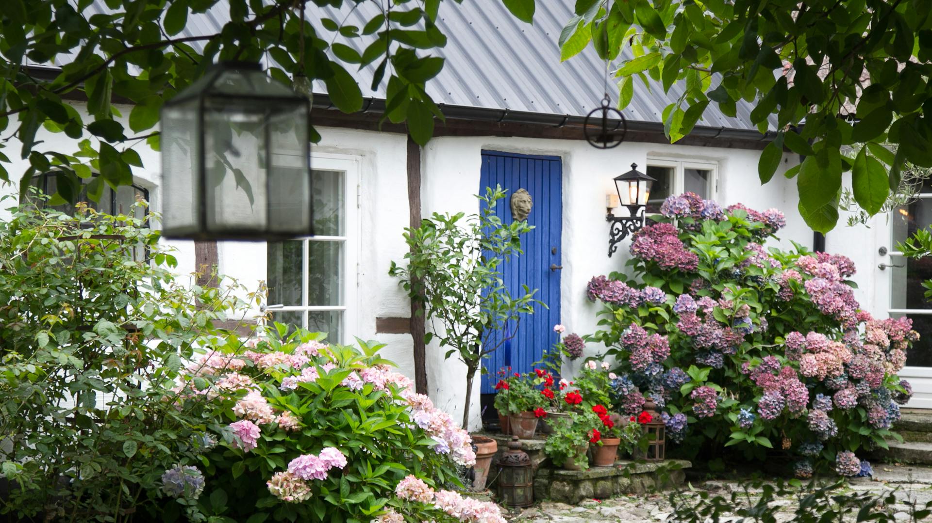 Vorgarten mit Pflanzen und Blumen gestalten