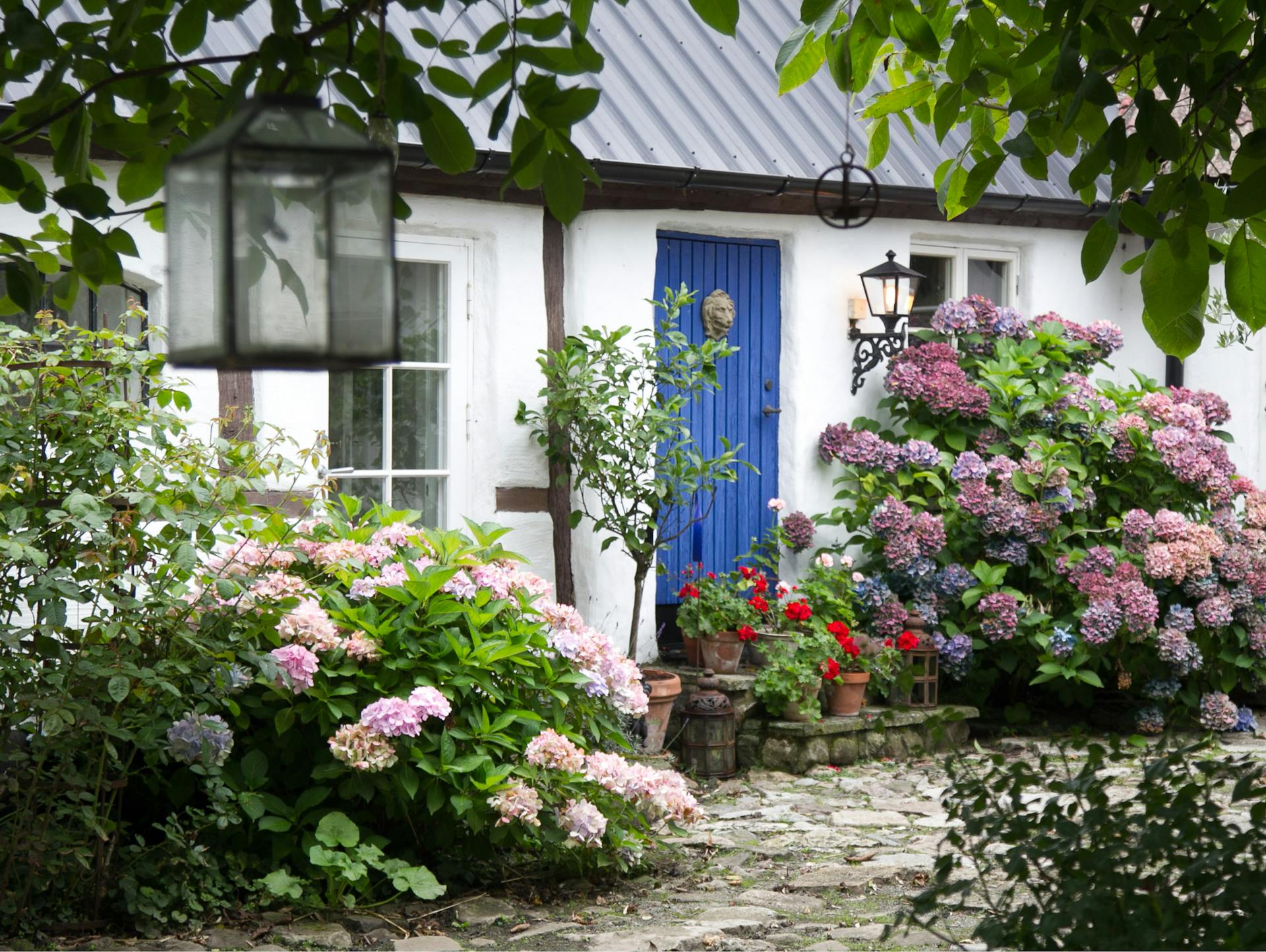 Vorgarten im Landhausstil mit blühenden Sträuchern