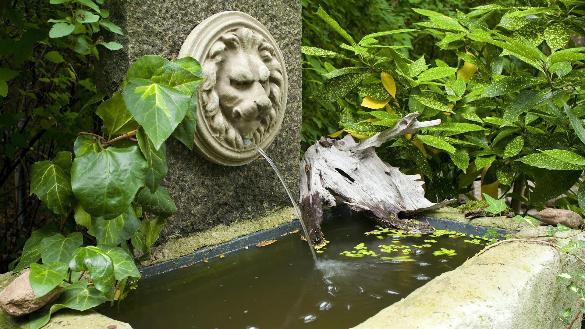 Wandbrunnen in mediterranem Stil mit Löwenkopf als Speier.
