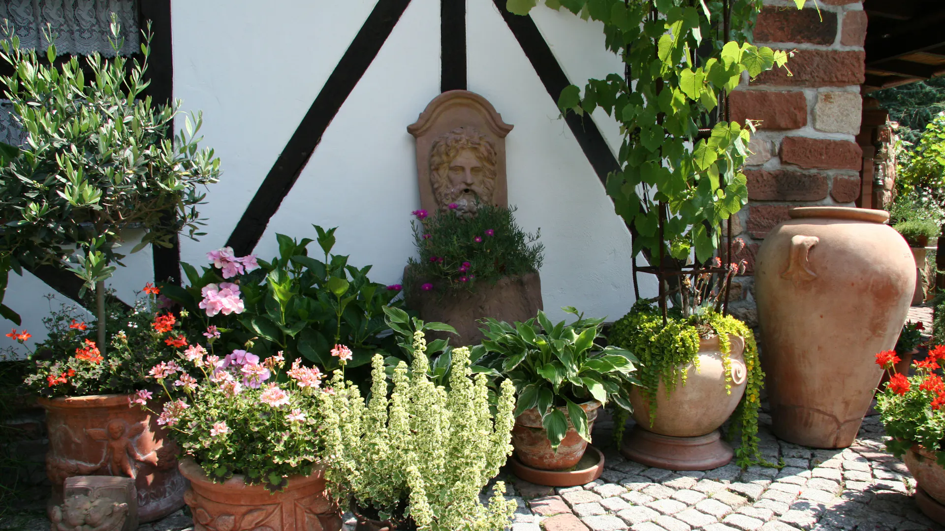 Wandbrunnen mit Wasserspeier und verschiedenen Pflanzen und Amphoren gestaltet