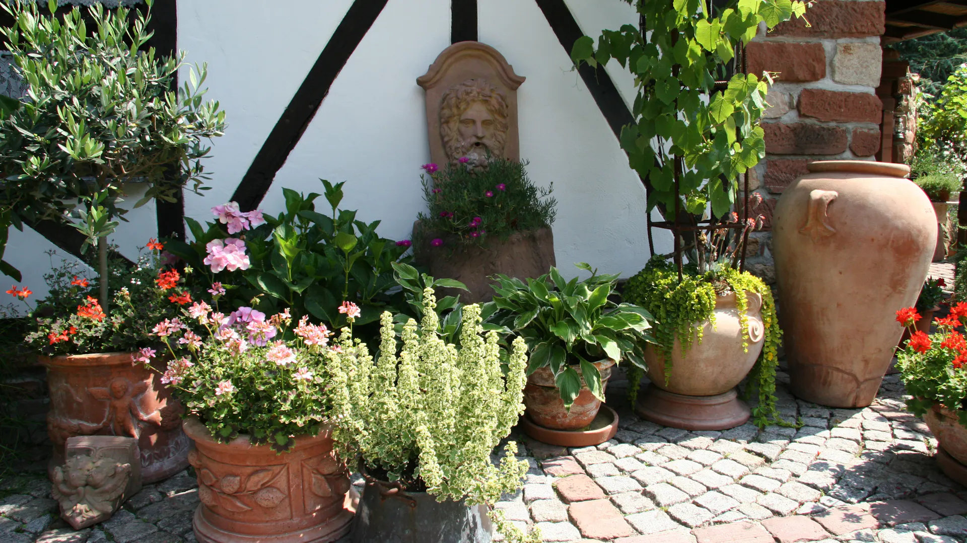 Wandbrunnen mit Löwenkopf im mediterranen Garten