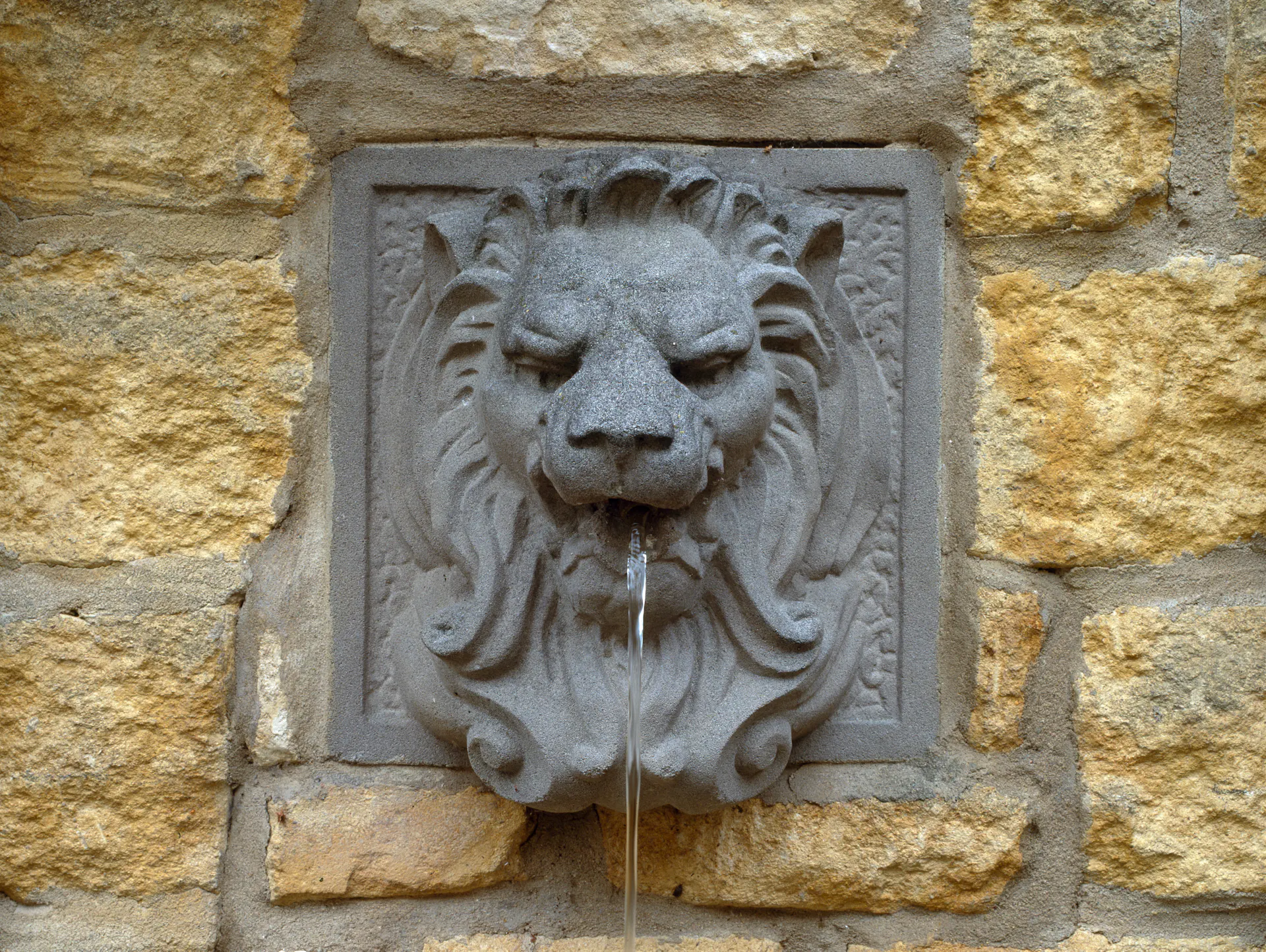 Wasserspeiender Löwenkopf am Wandbrunnen