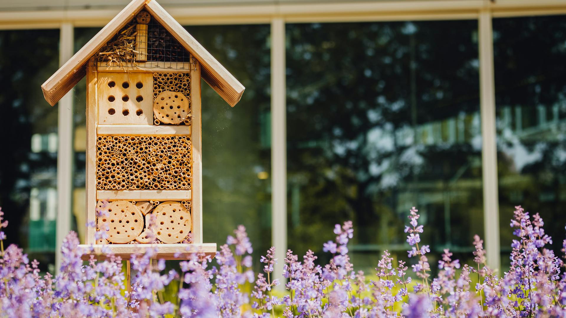 Insektenhotel hinter Blumen