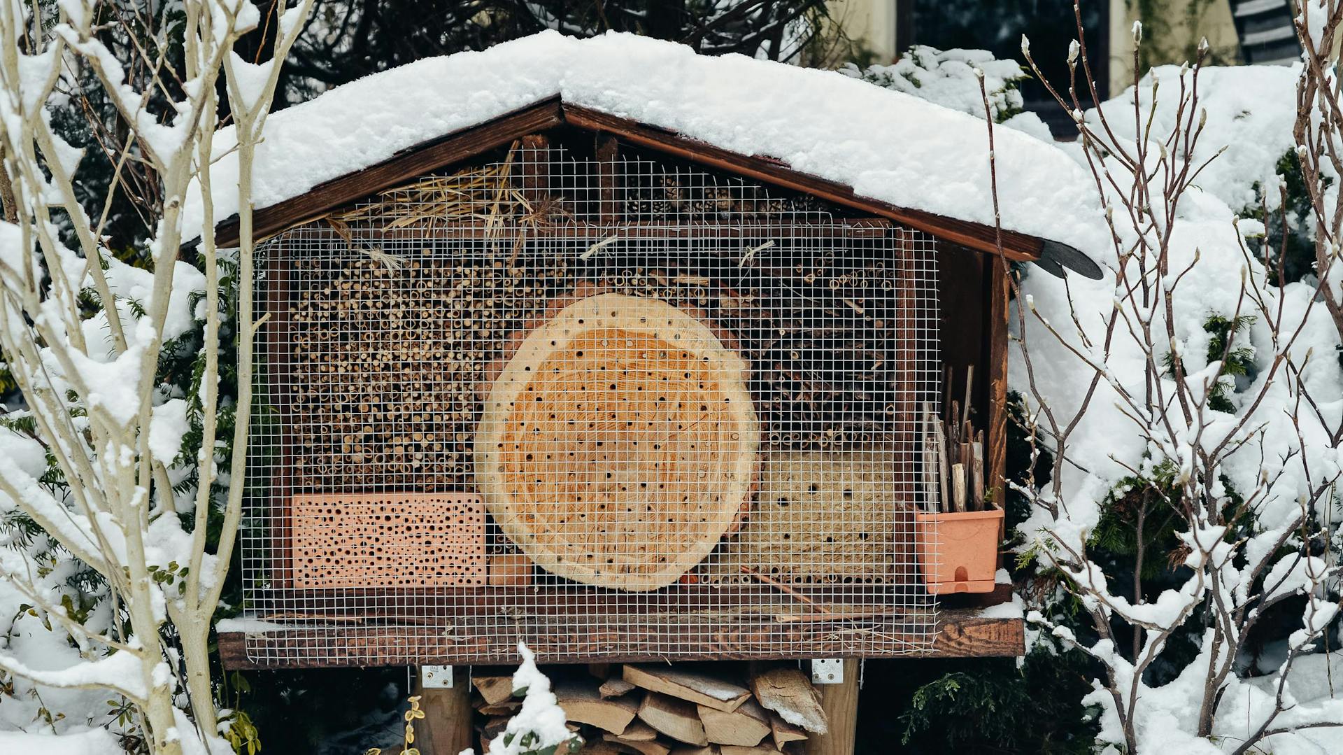 Insektenhotel mit Schnee