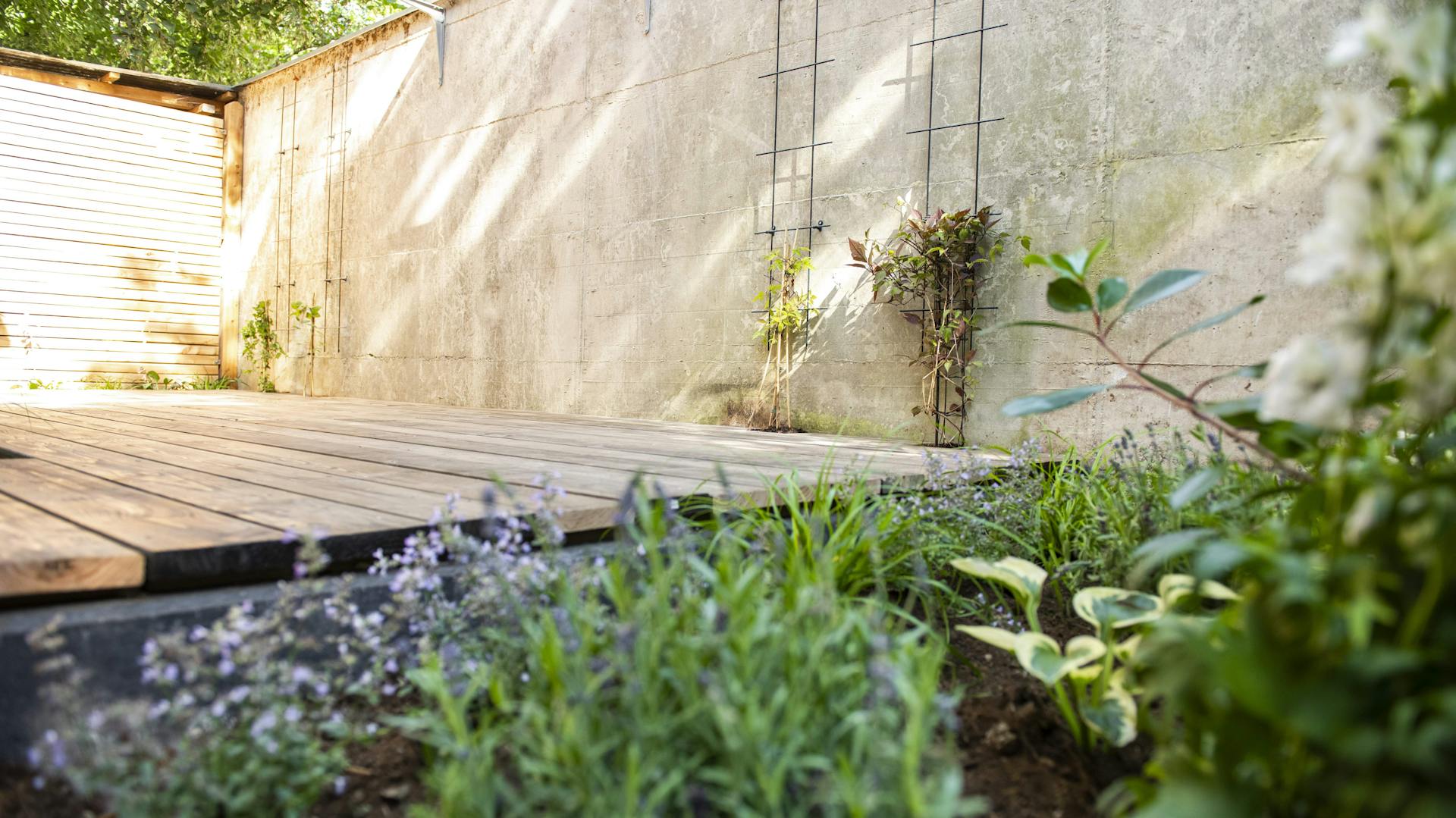 Holzterrasse an Betonmauer mit Bepflanzung