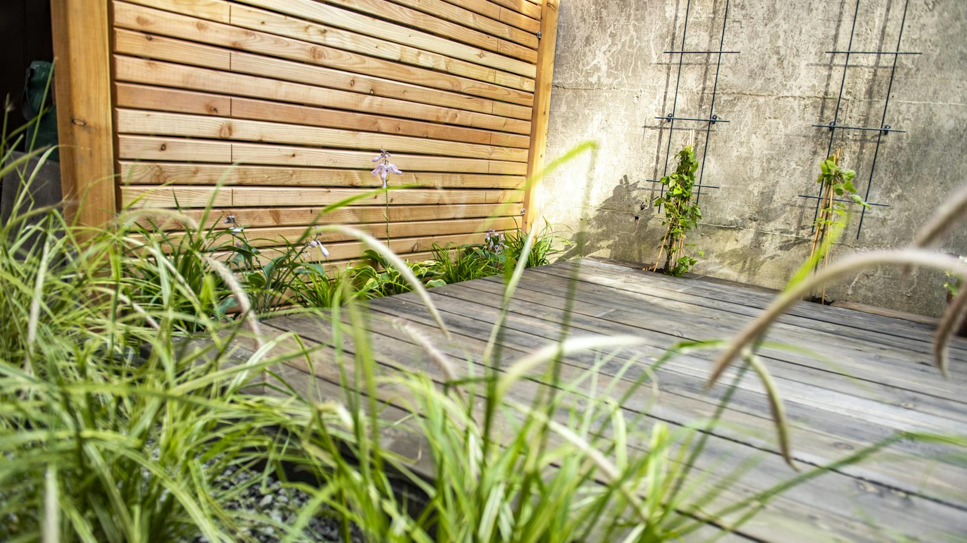 Holzterrasse mit Sichtschutz-Element und Pflanzen