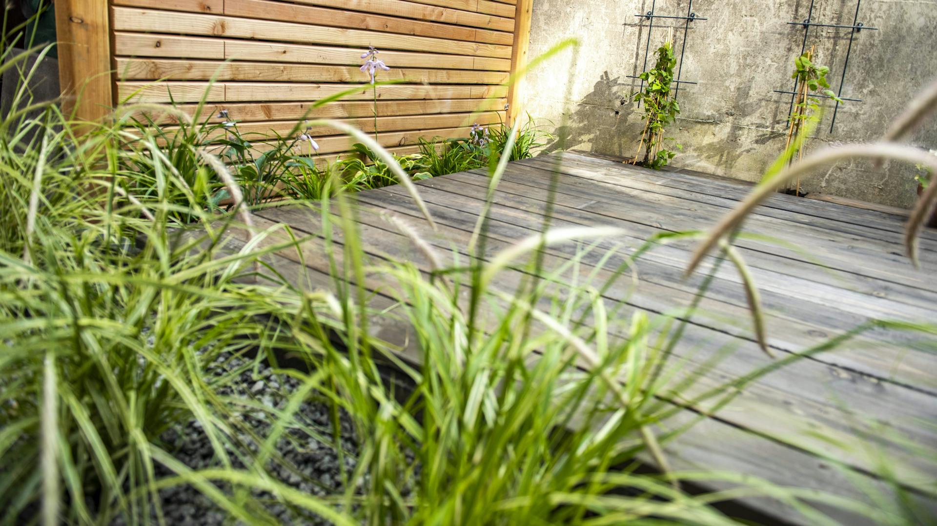 Sichtschutz aus Holz zur Abgrenzung einer Holzterrasse.