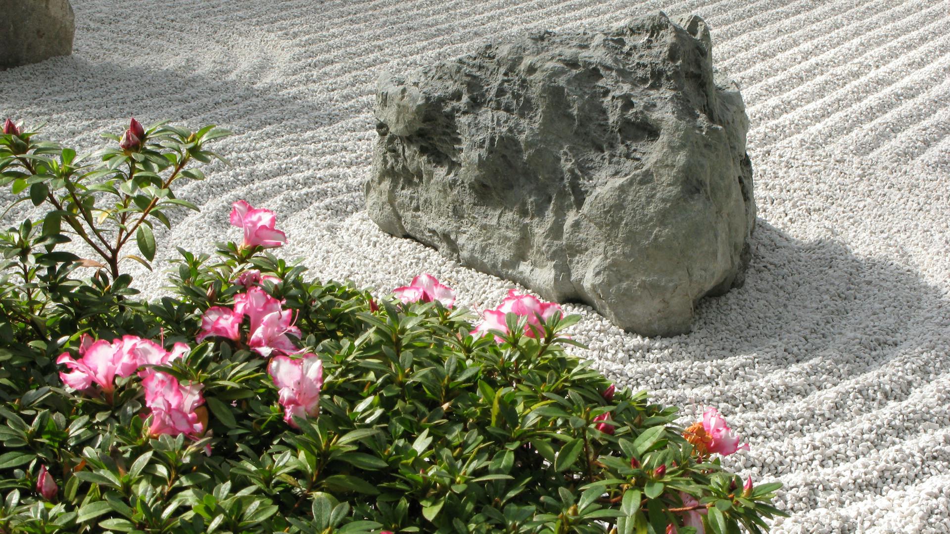 Egy nagy kő egy hullámosra gereblyézett kavicsos felület közepén. A hullámos vonalak a tenger hullámait idézik meg, ezért követik a kő körvonalát.