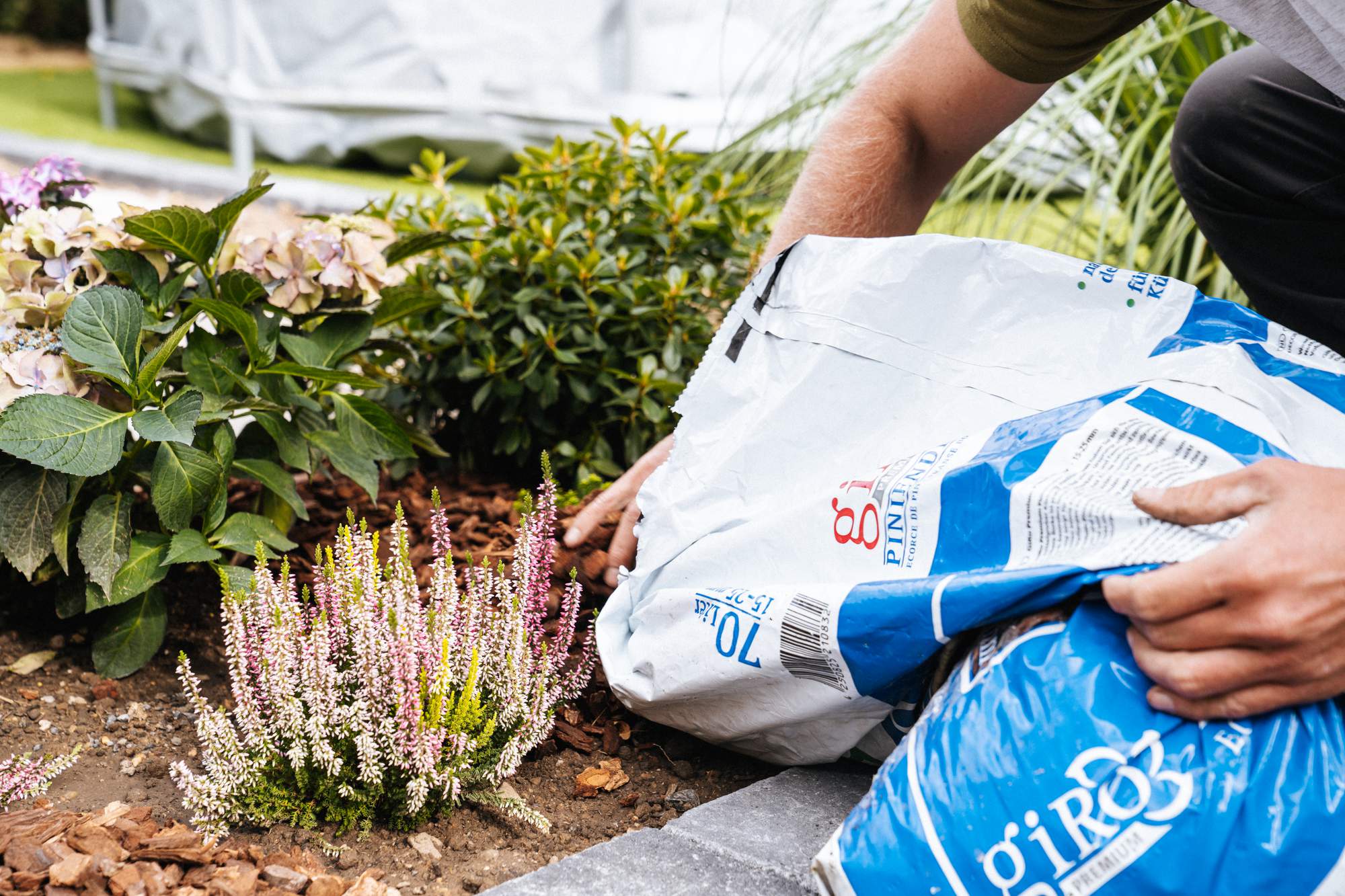 Hände füllen Rindenmulch in ein Beet