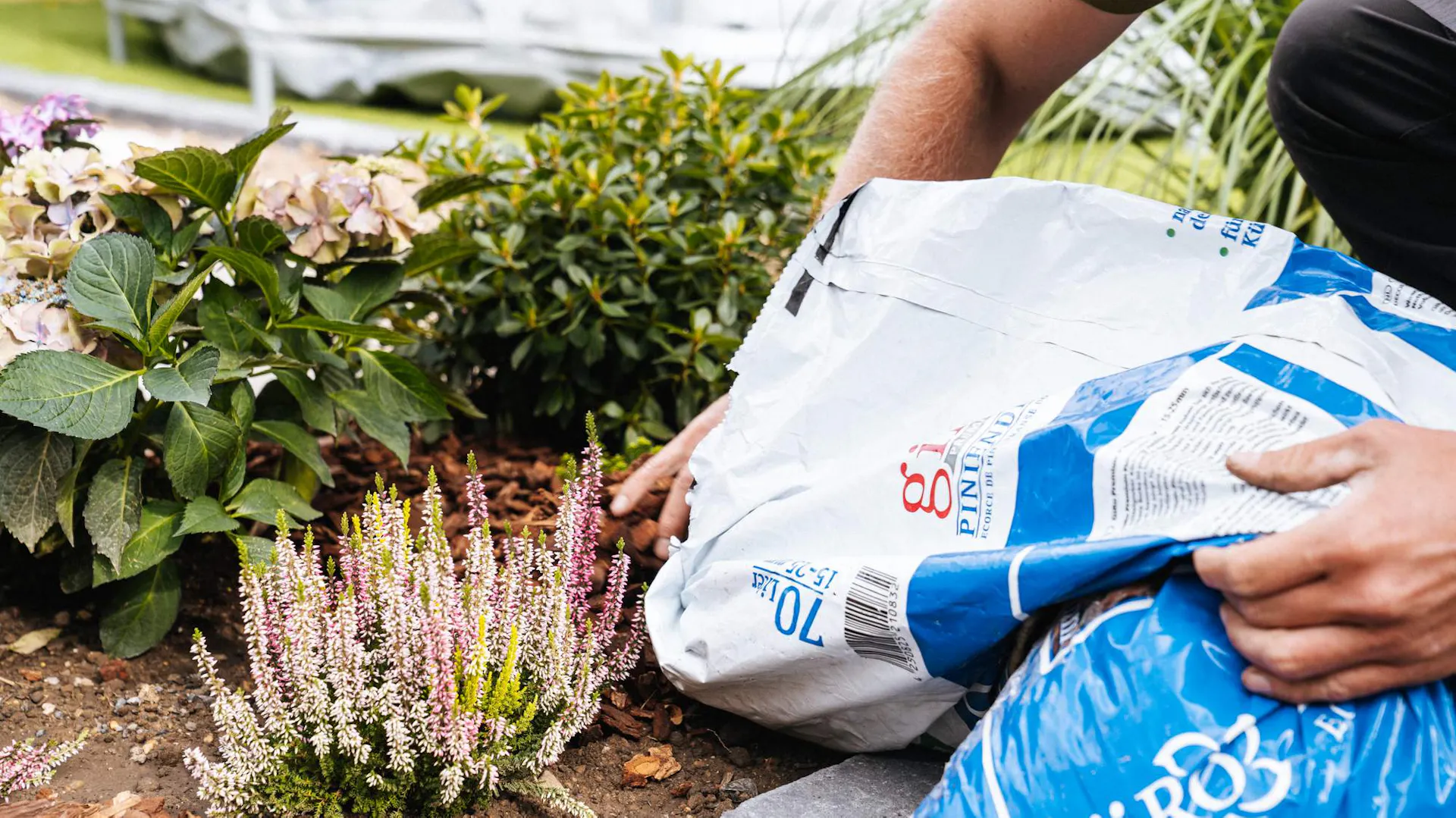 Hände füllen Rindenmulch in ein Beet