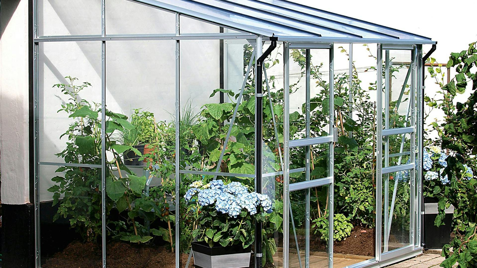 Anlehngewächshaus an Hauswand mit Pflanzen