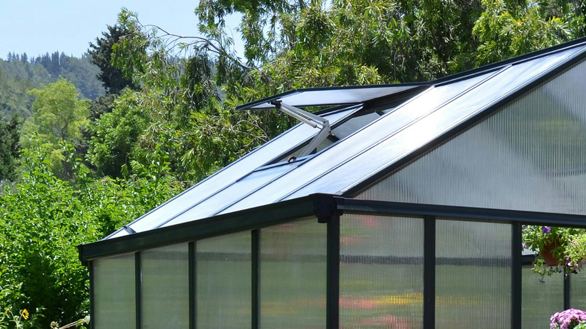 Fenster eines Gewächshauses