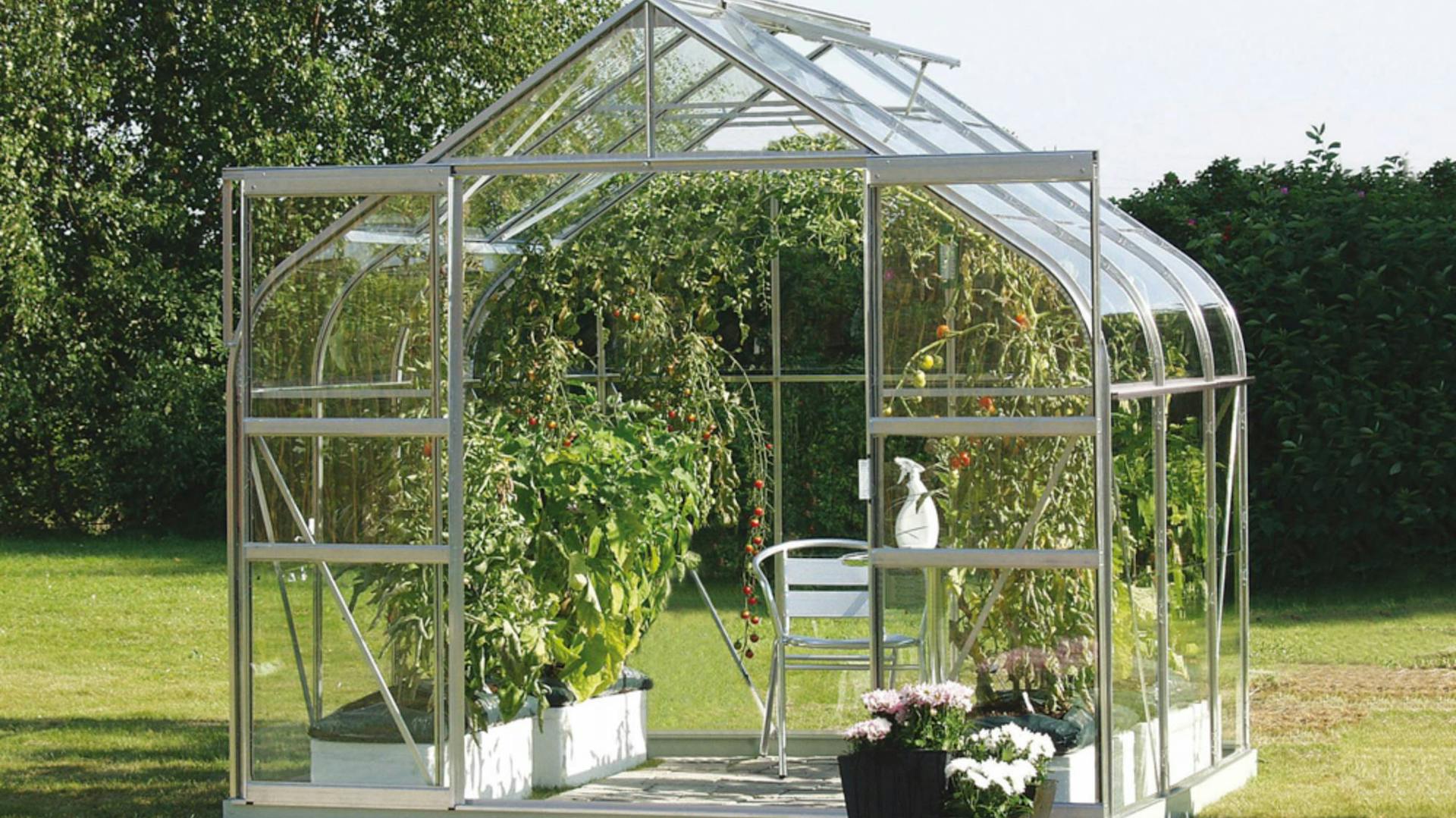 Freistehendes Gewächshaus auf Wiese mit offenen Türen