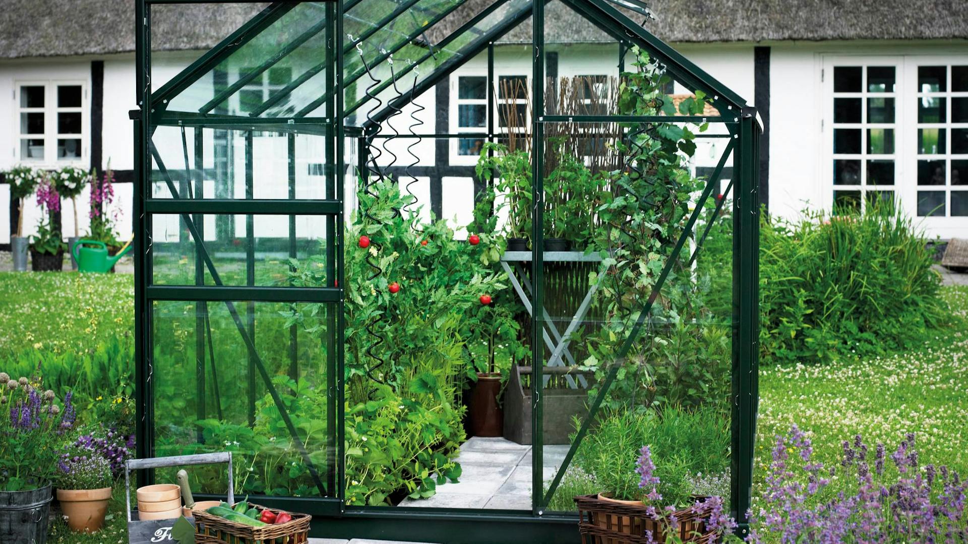 Gewächshaus aus Glas mit Mittelgang und zwei Beeten