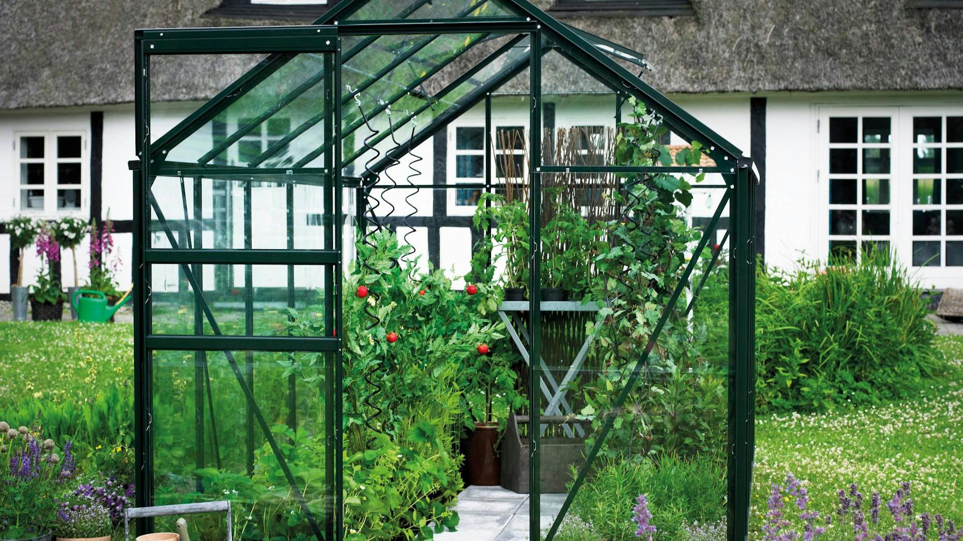 Freistehendes Gewächshaus im Garten.