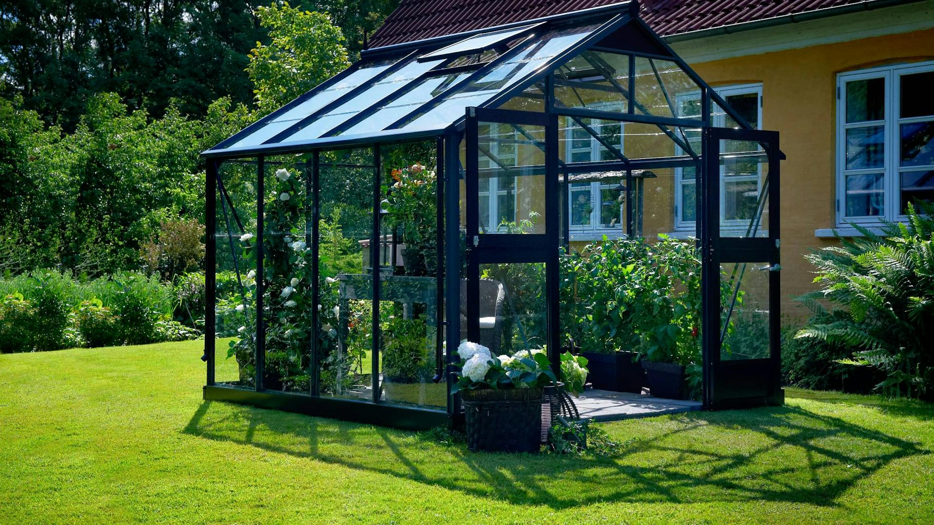 Freistehendes Gewächshaus mit Pflanzen vor Haus