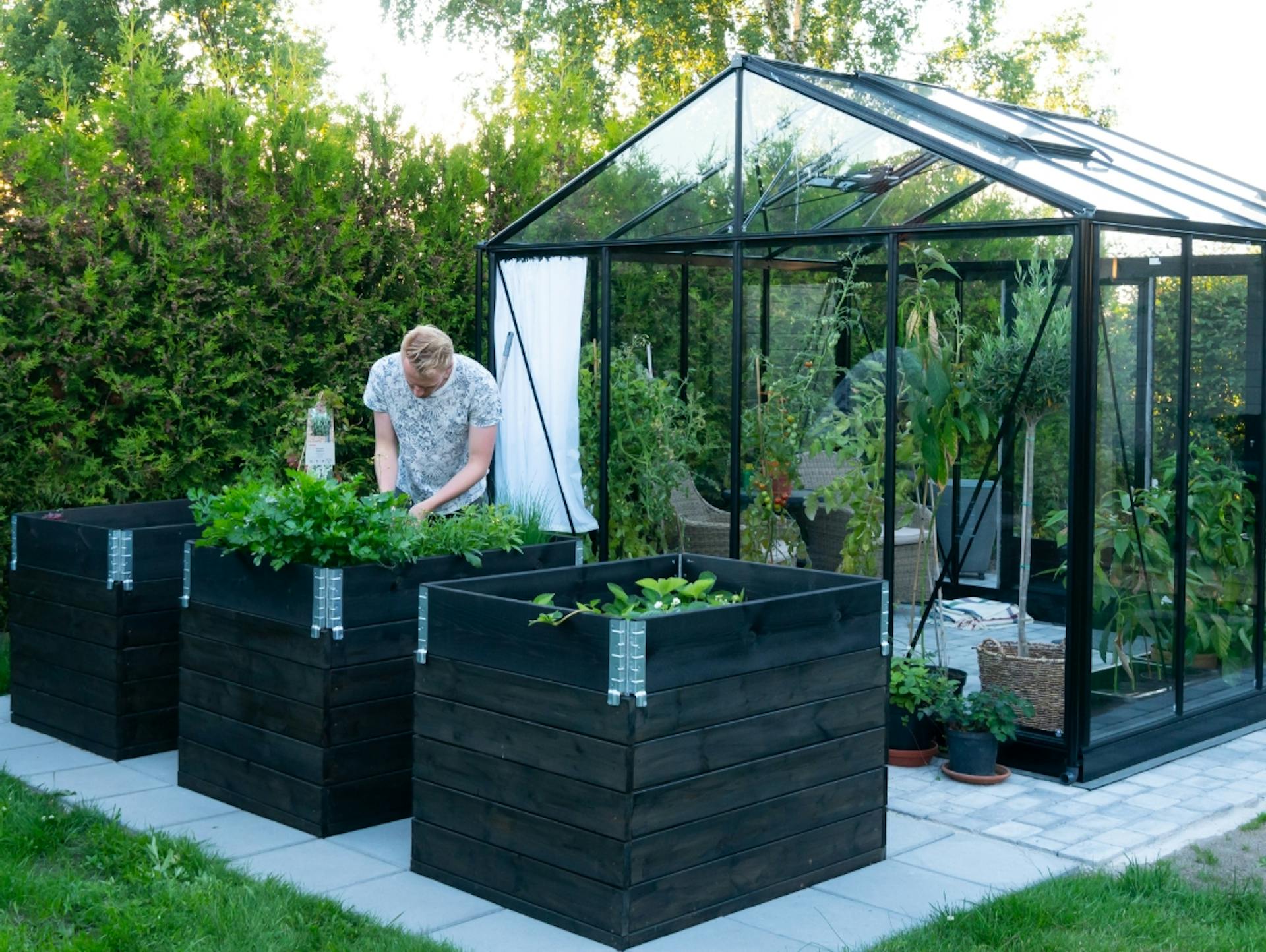 Gewächshaus mit schwarzen Metallstreben. Davor drei Hochbeete und eine Person, die etwas anpflanzt.