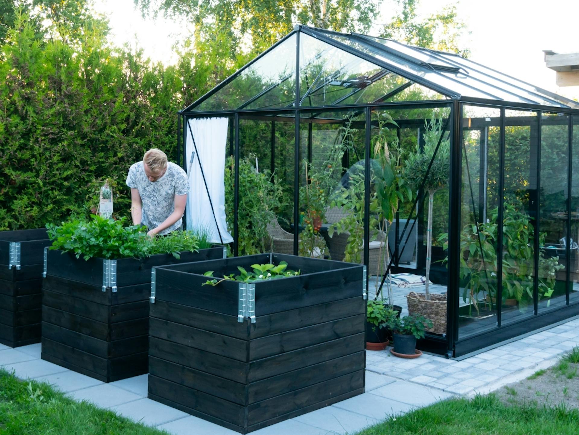 Gewächshaus mit schwarzen Metallstreben. Davor drei Hochbeete und eine Person, die etwas anpflanzt.
