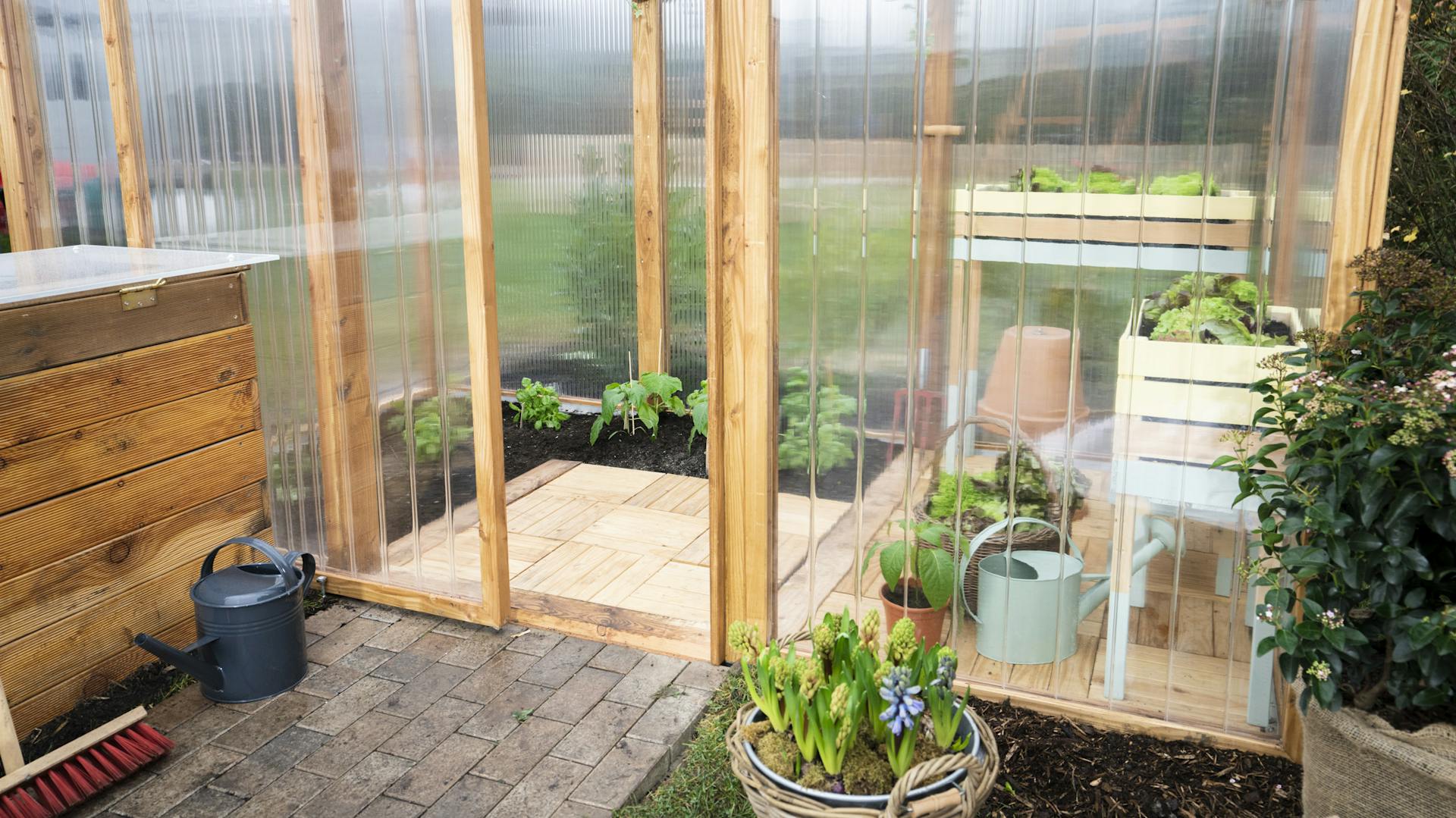 Gewächshaus mit Hochbeet und Pflanzen