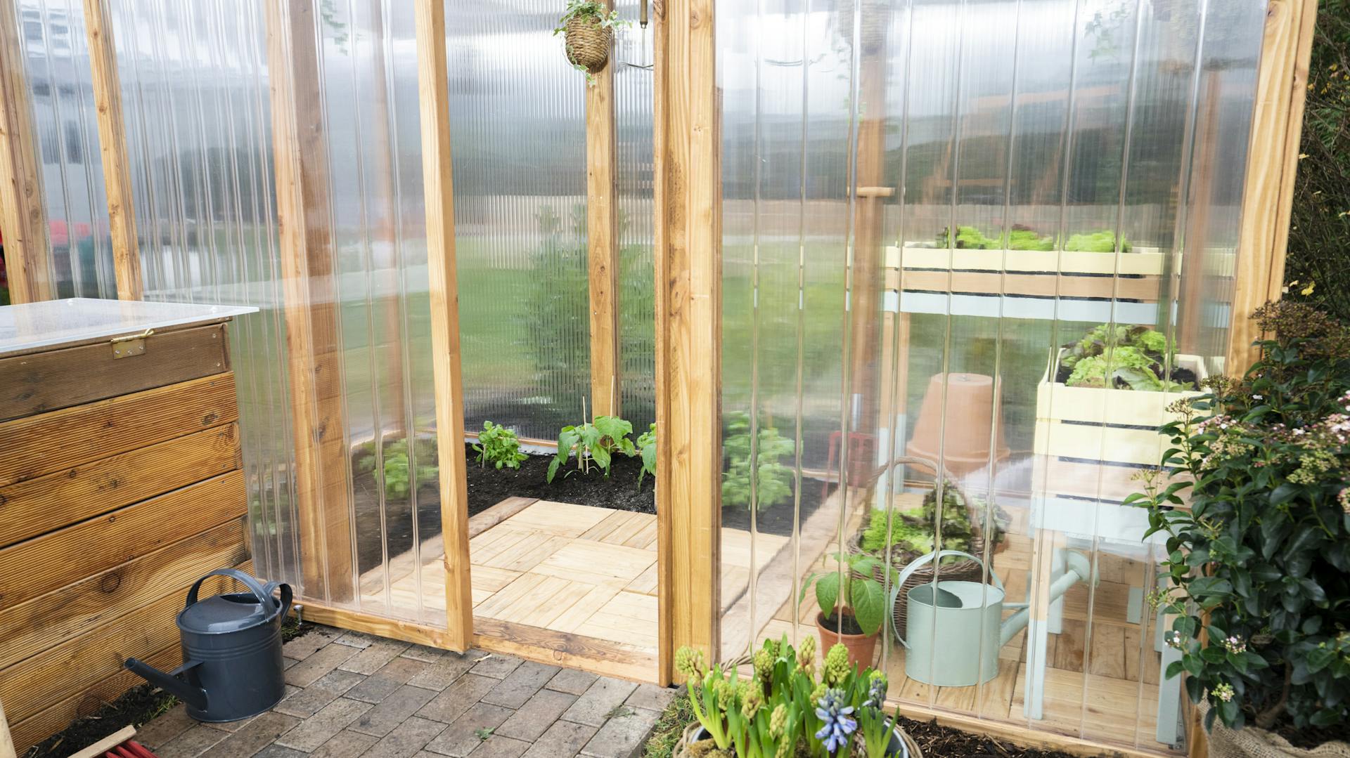 Gewächshaus mit Pflanzen.