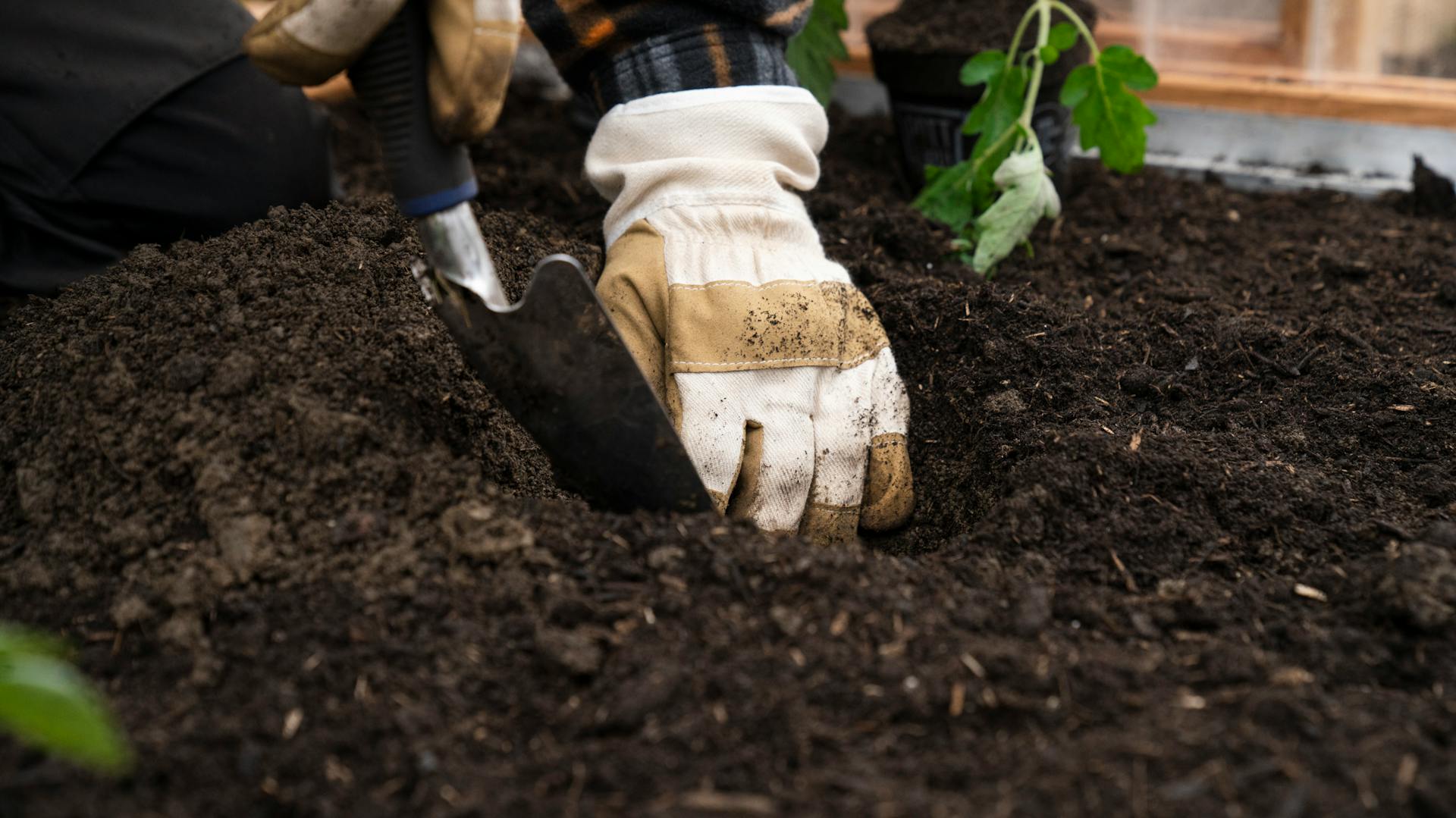 Kézzel vetnek magokat a földbe