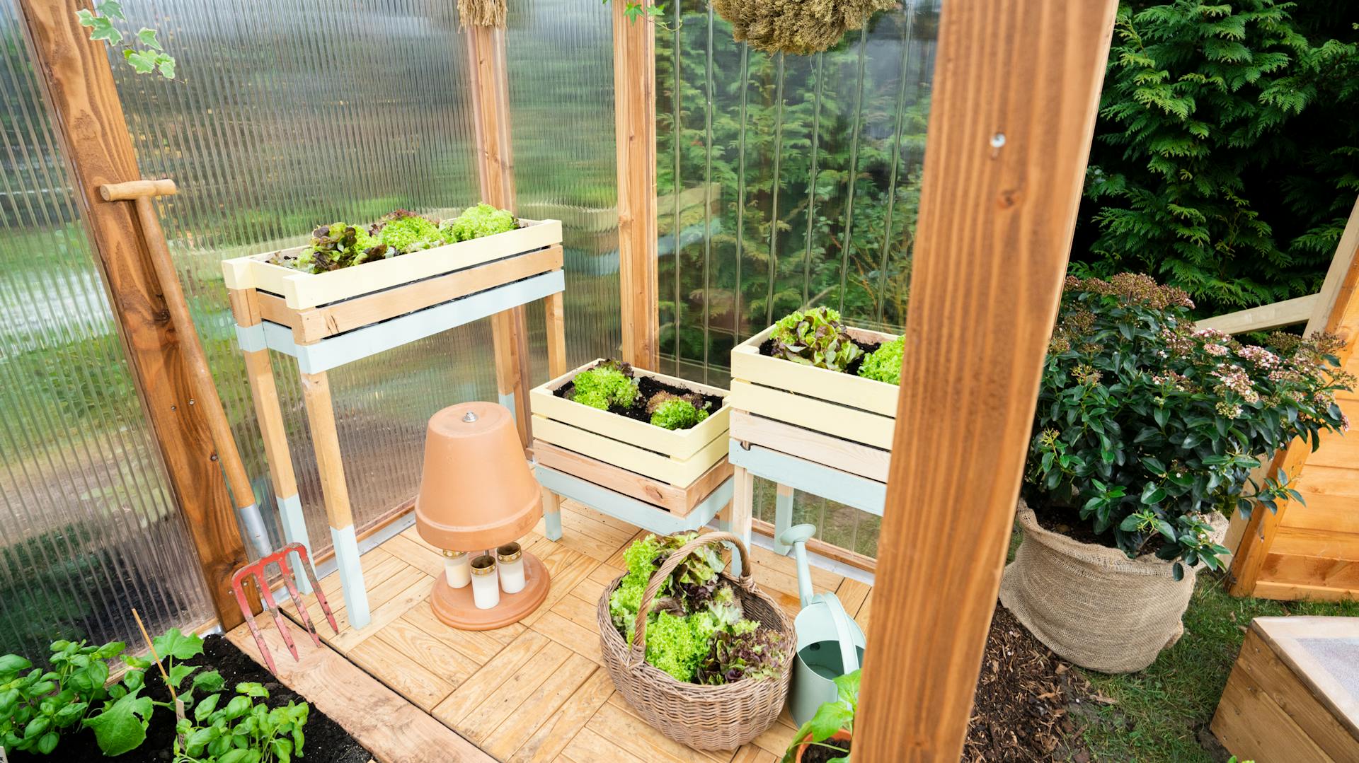 Magaságyások salátával egy üvegházban