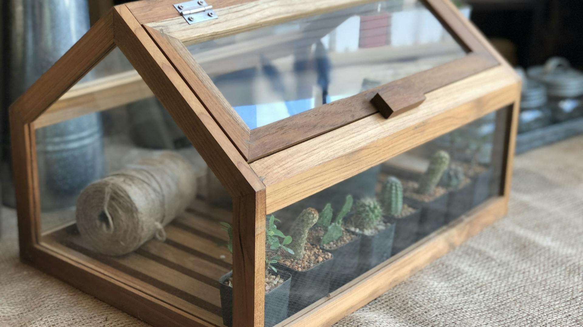 Mini-Gewächshaus aus Holz mit Pflänzchen.