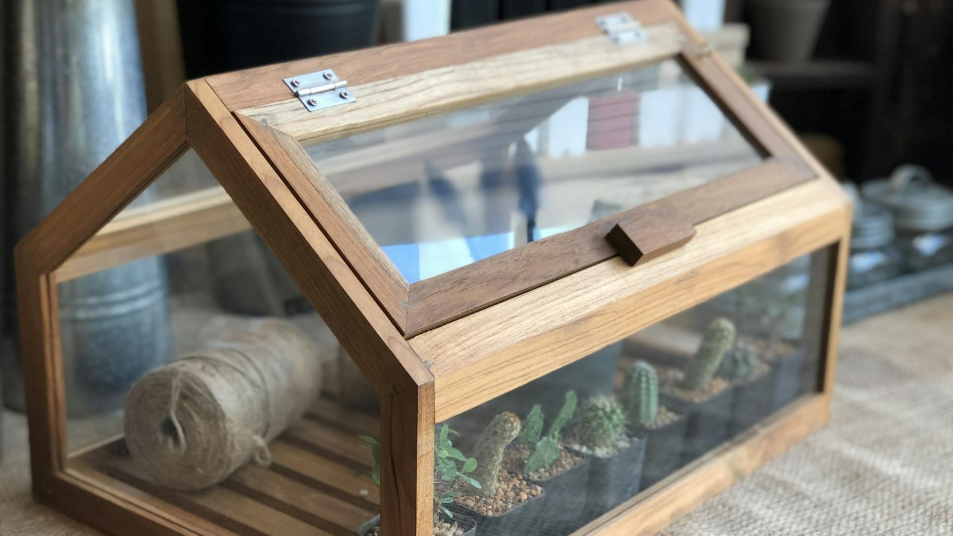 Mini-Gewächshaus aus Holz mit Pflänzchen.