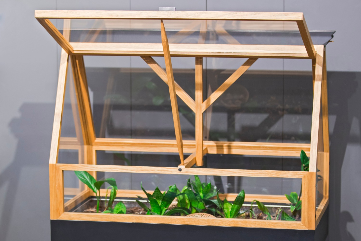 MiniGewächshaus selber bauen Anleitung OBI