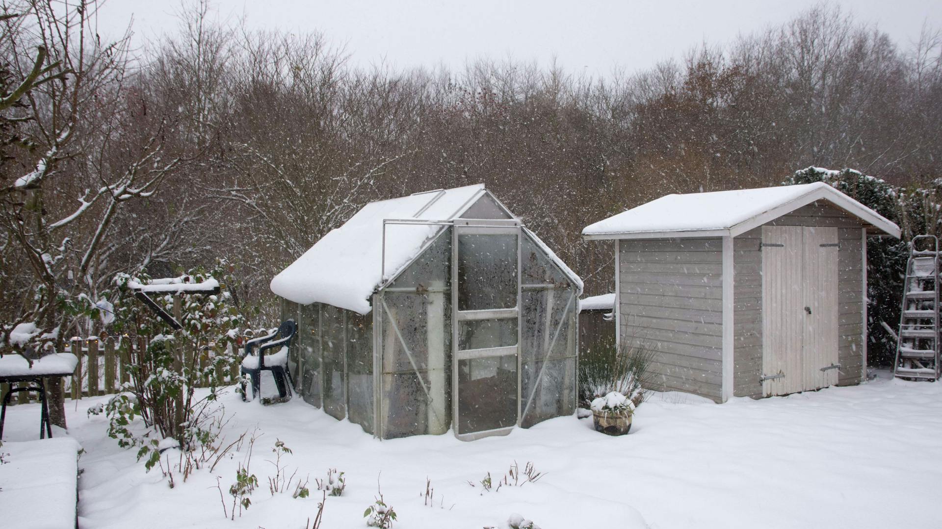 Schneebedecktes Gewächshaus und Gartenhaus