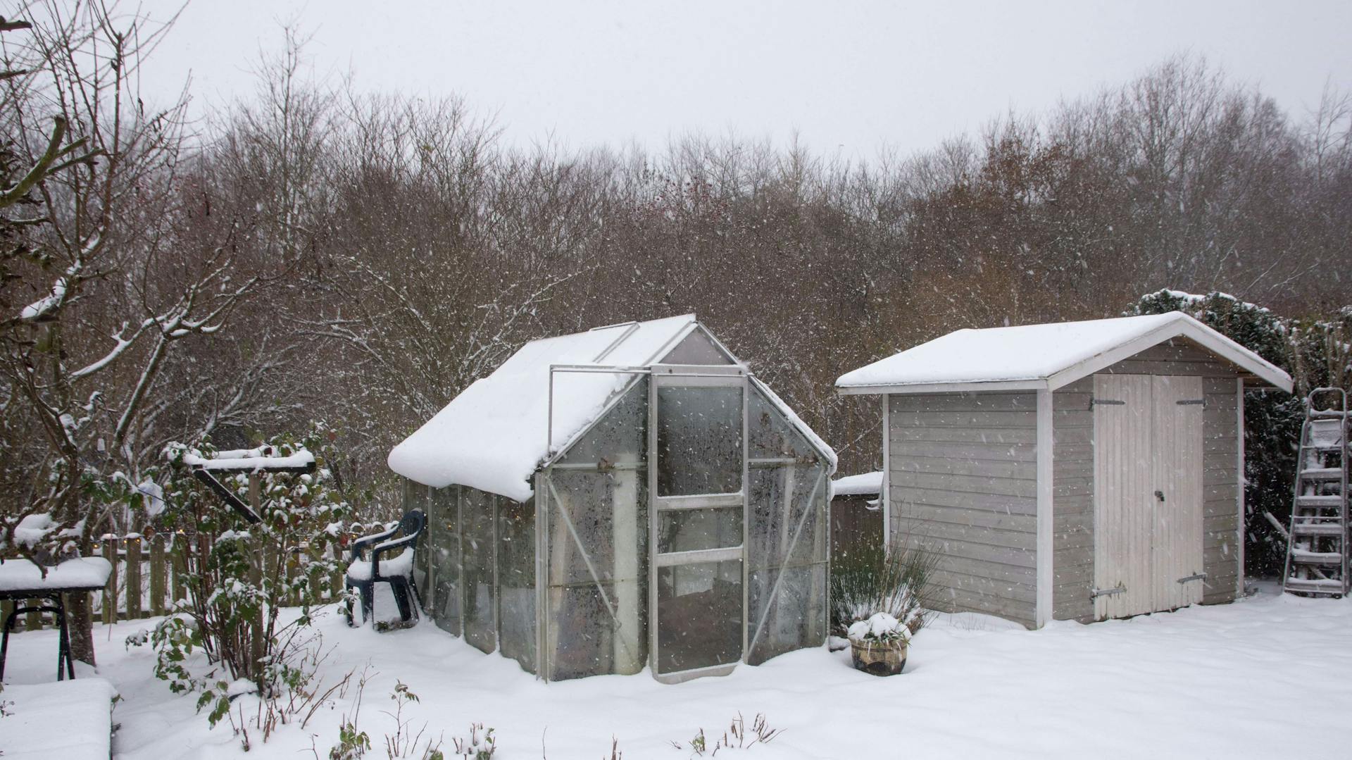 Ein schneebedecktes Gewächshaus.