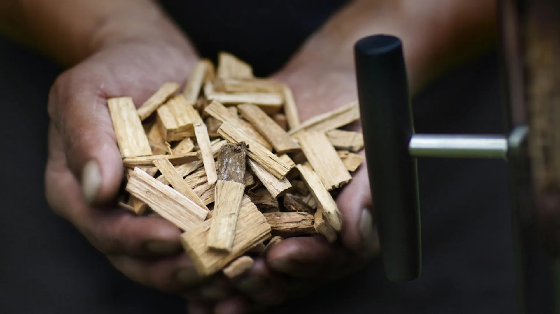 Mani contenenti trucioli di legno aromatico per affumicatori
