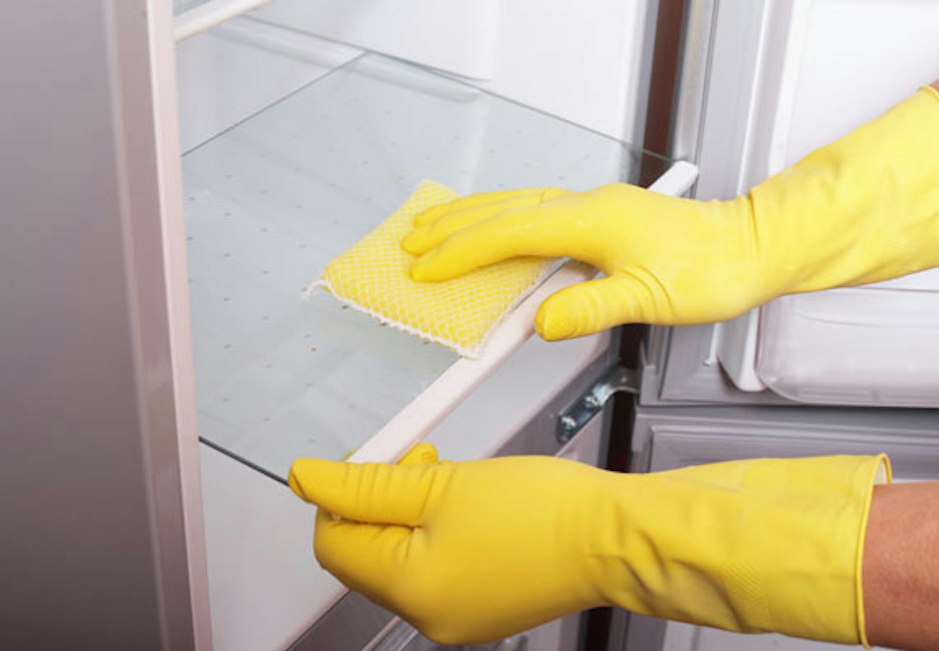 Un ripiano del frigorifero viene rimosso e pulito con un panno umido