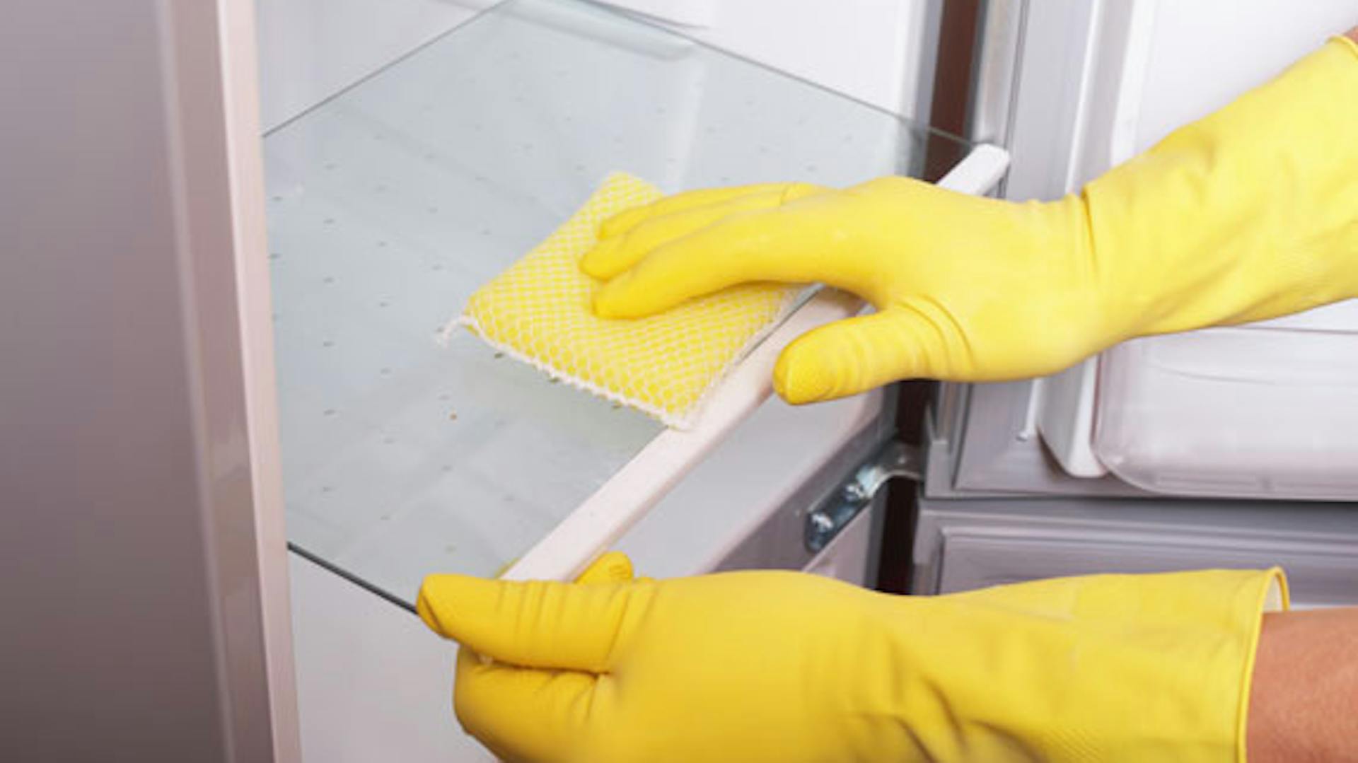Ablage im Kühlschrank wird entfernt und mit einem feuchten Lappen gereinigt