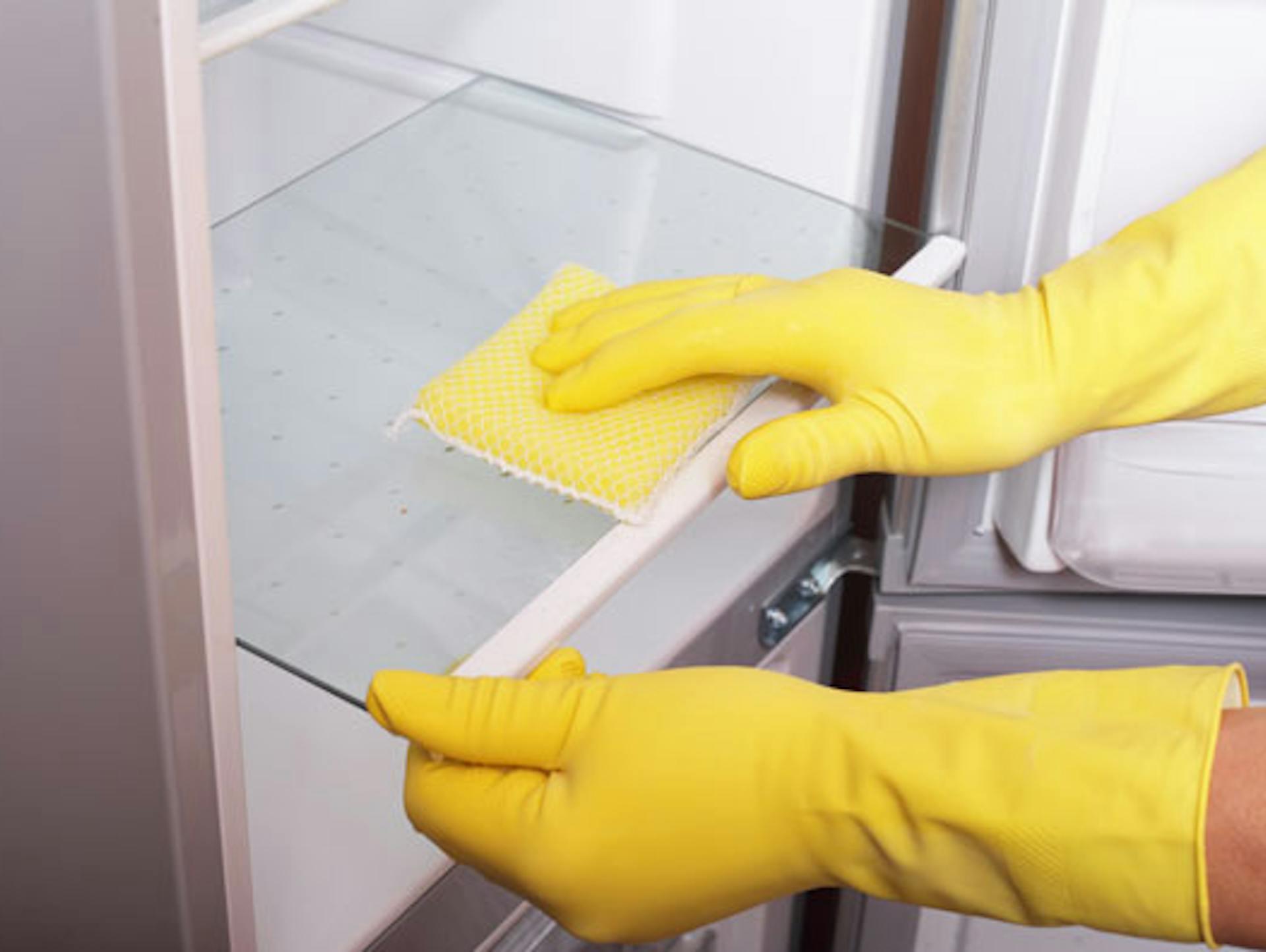 Person wischt Glasboden im Kühlschrank ab.