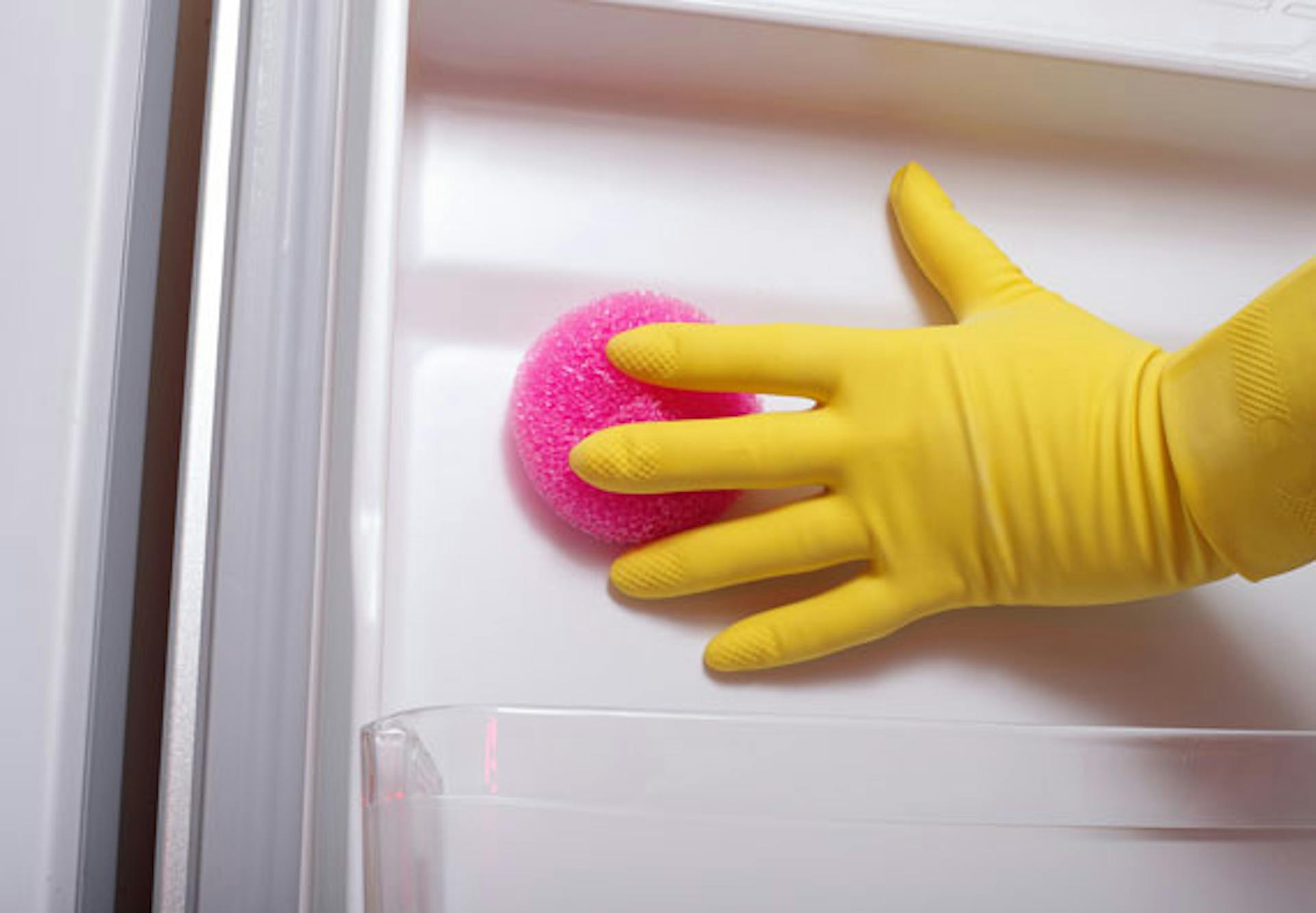 Le cavità del frigorifero vengono pulite accuratamente