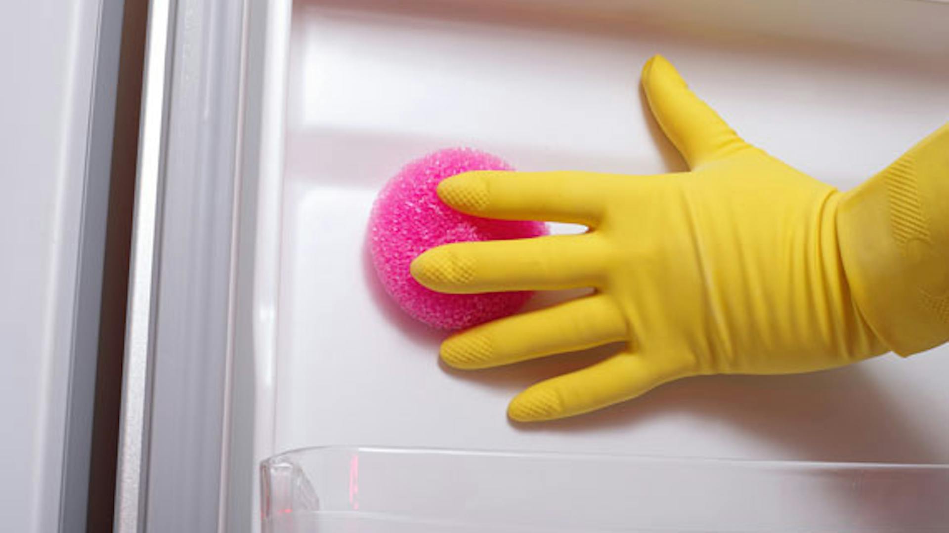 Vertiefungen im Kühlschrank werden besonders gründlich gereinigt