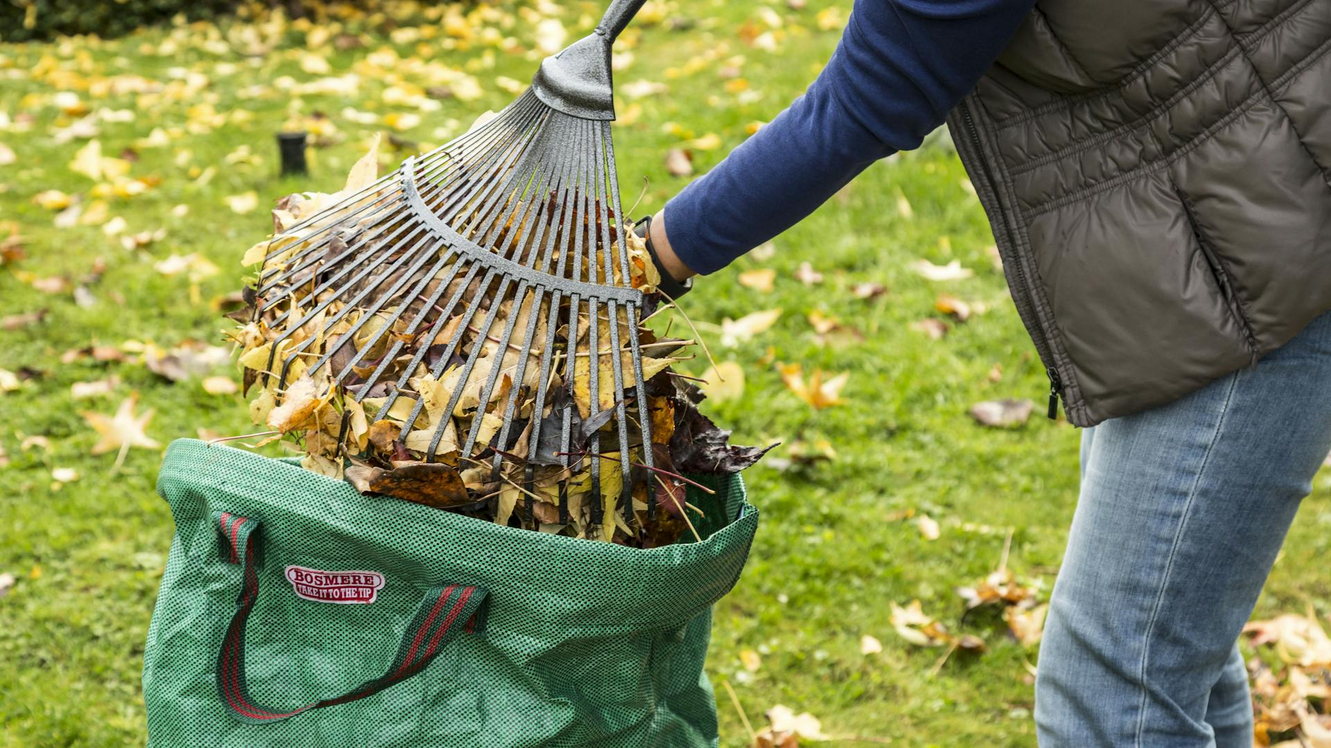 Qualcuno sta riempendo di fogliame un sacco per i rifiuti del giardino