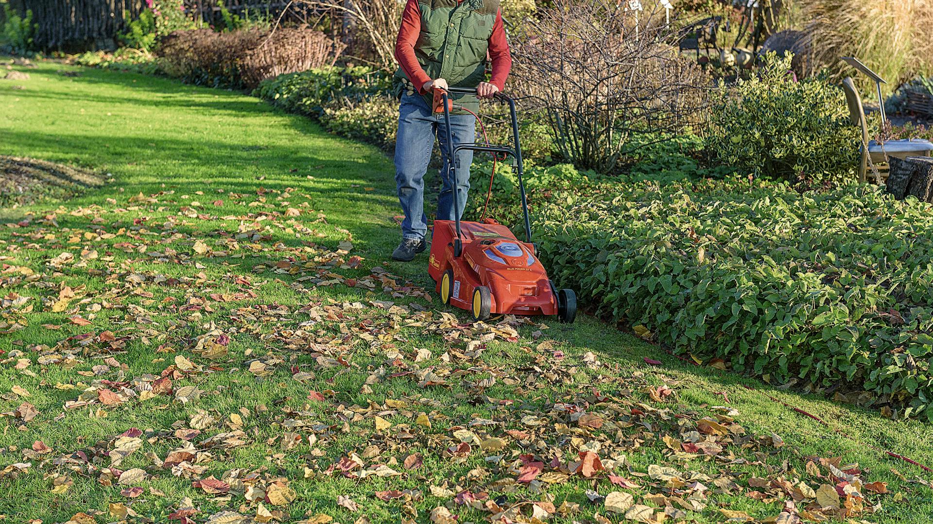 Ein Mann mäht eine Wiese mit Laub.