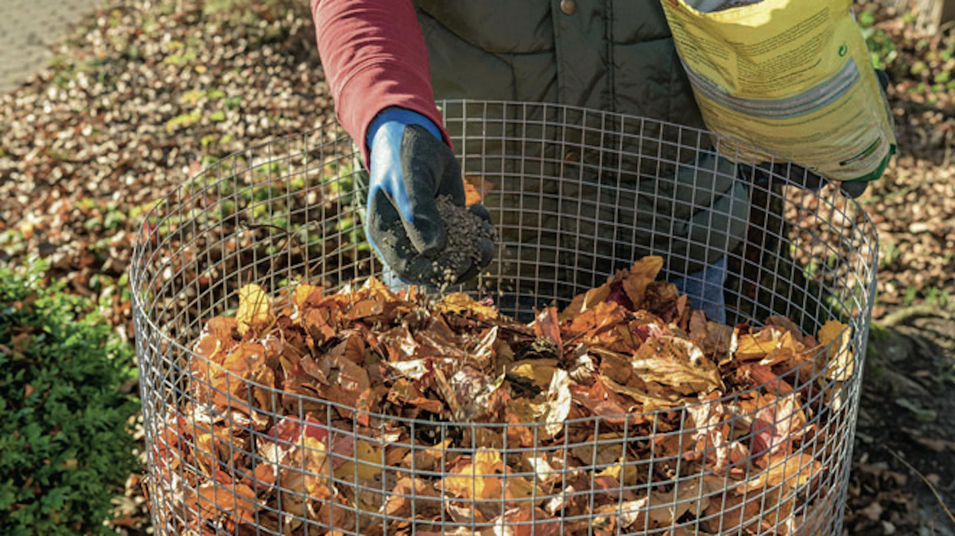 Jemand gibt Kompostbeschleuniger in einen Laubkorb.