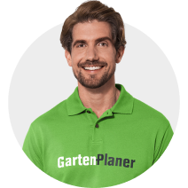 Meerrettich pflanzen und ernten: Tipps und Tricks | OBI