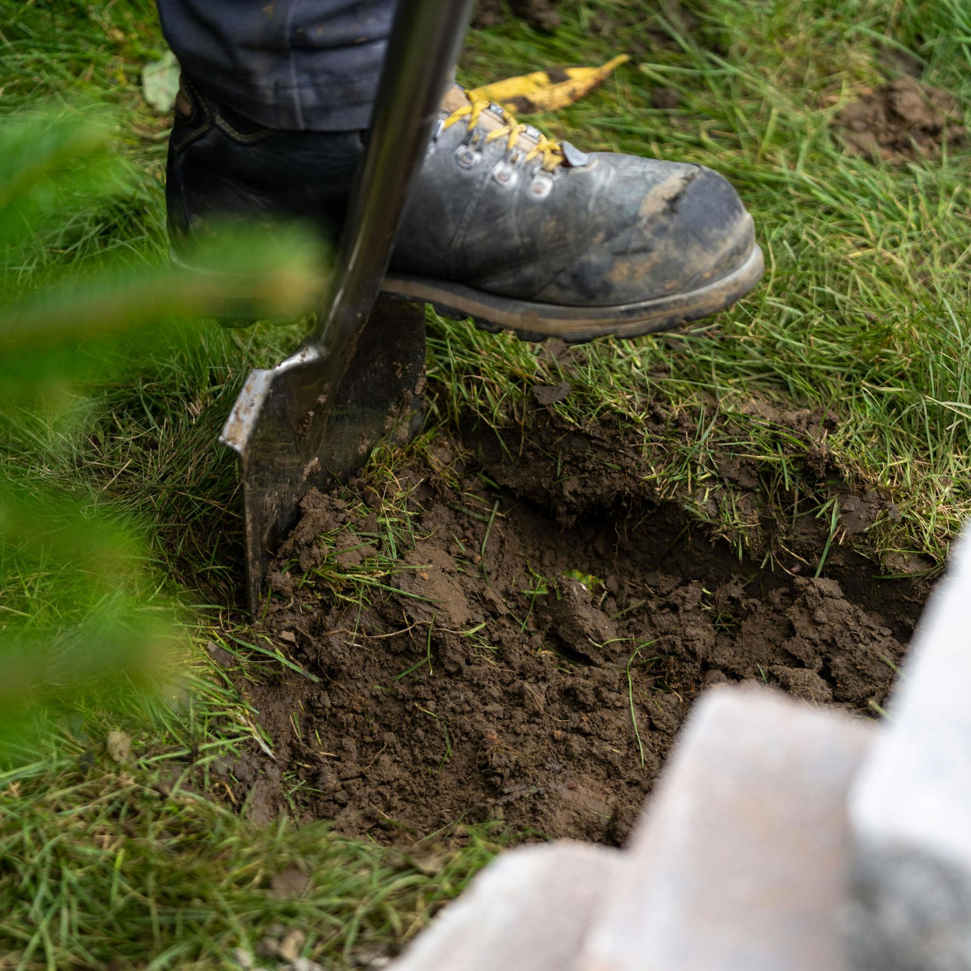 Person hebt Loch mit Spaten aus