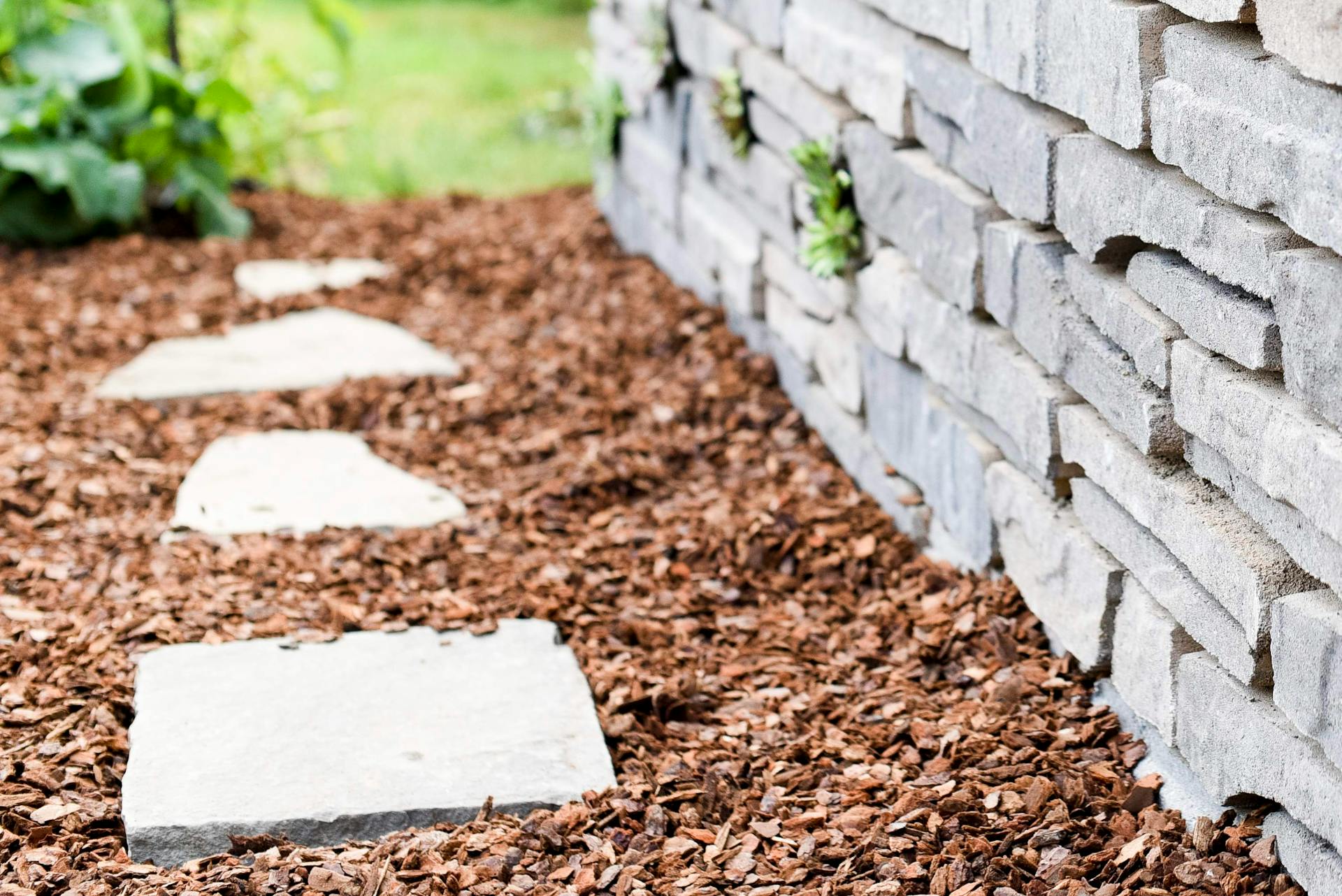 Kerti ösvényt alkotó lépőkövek.