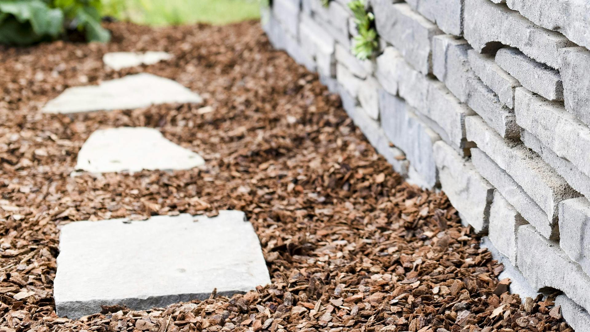 Lastre di pietra sul terreno sono posizionate alla lunghezza di passo come vialetto in giardino.