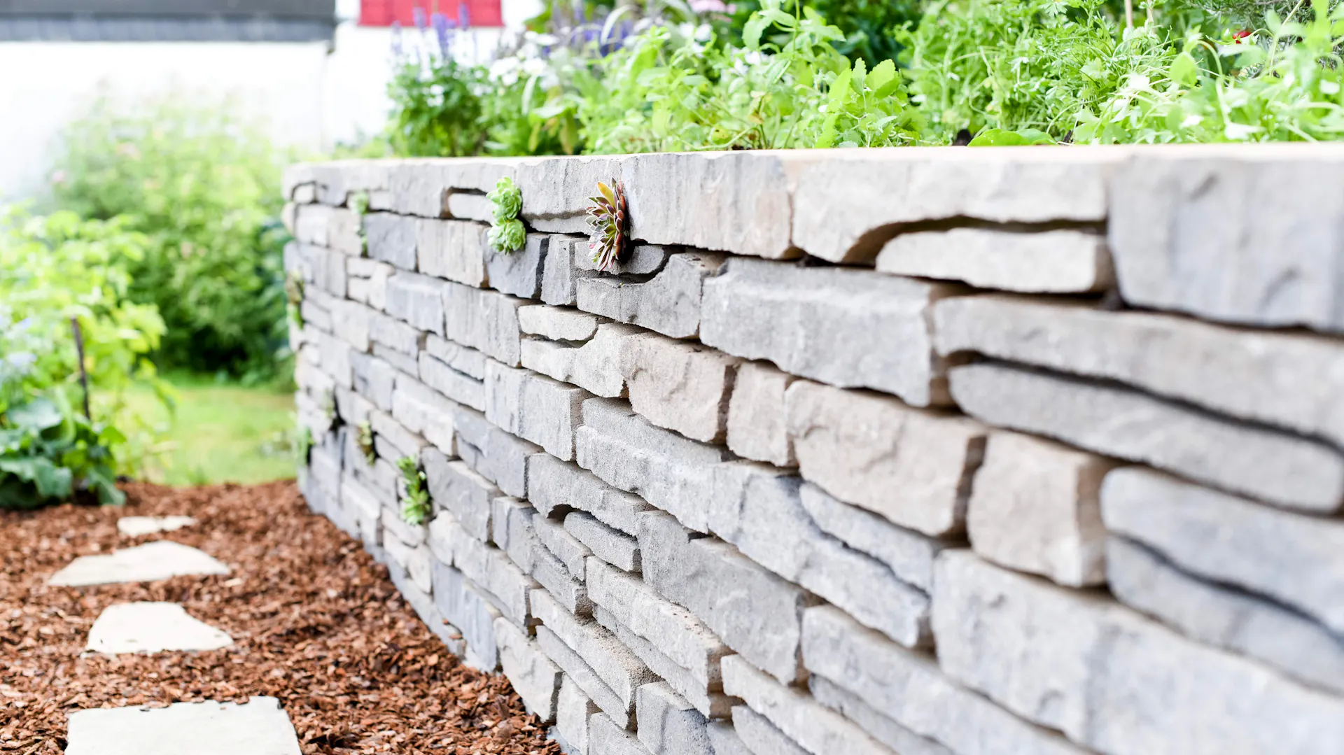 Un mur avec des dalles d’allée devant un massif.